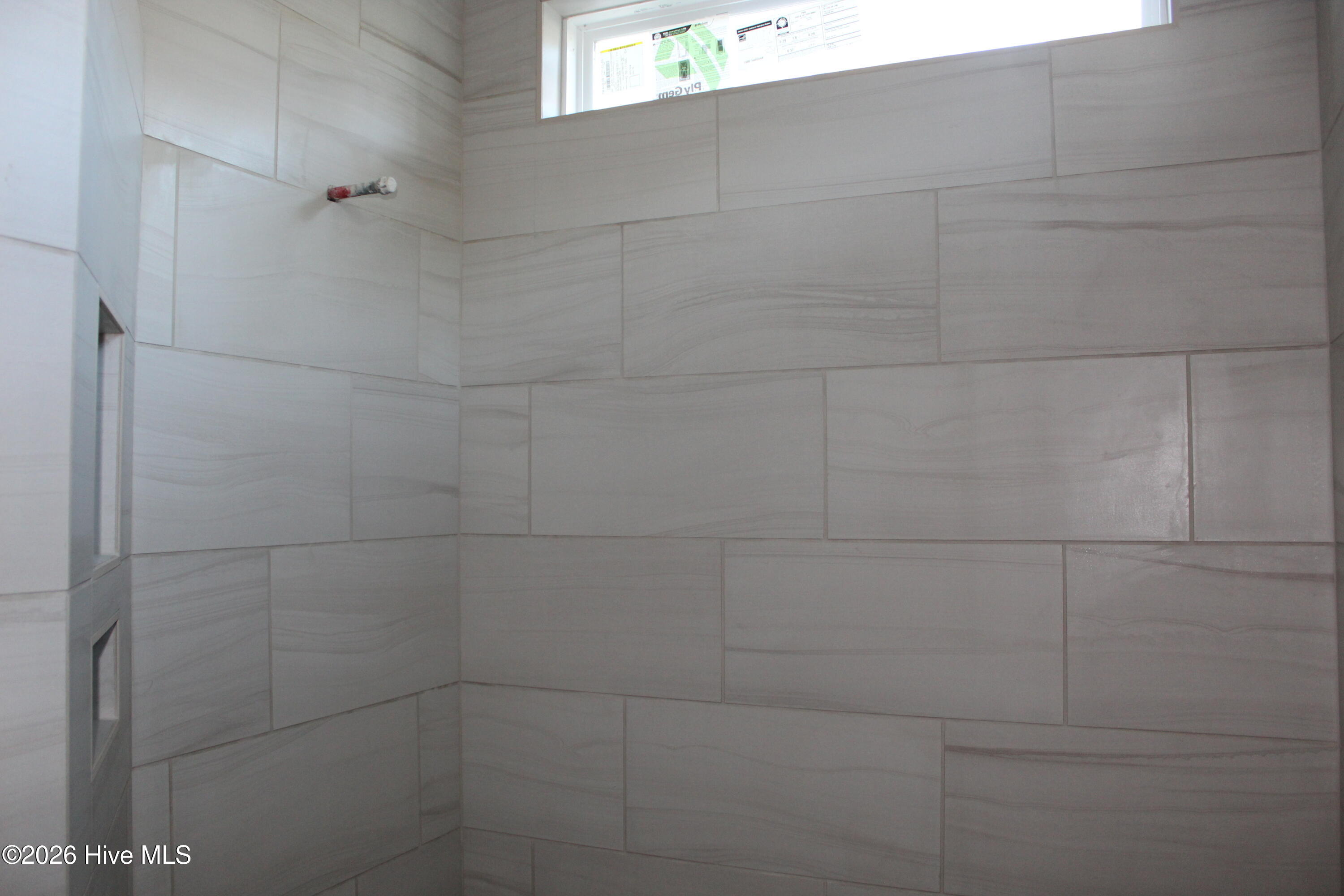 100536128 | Photo 18