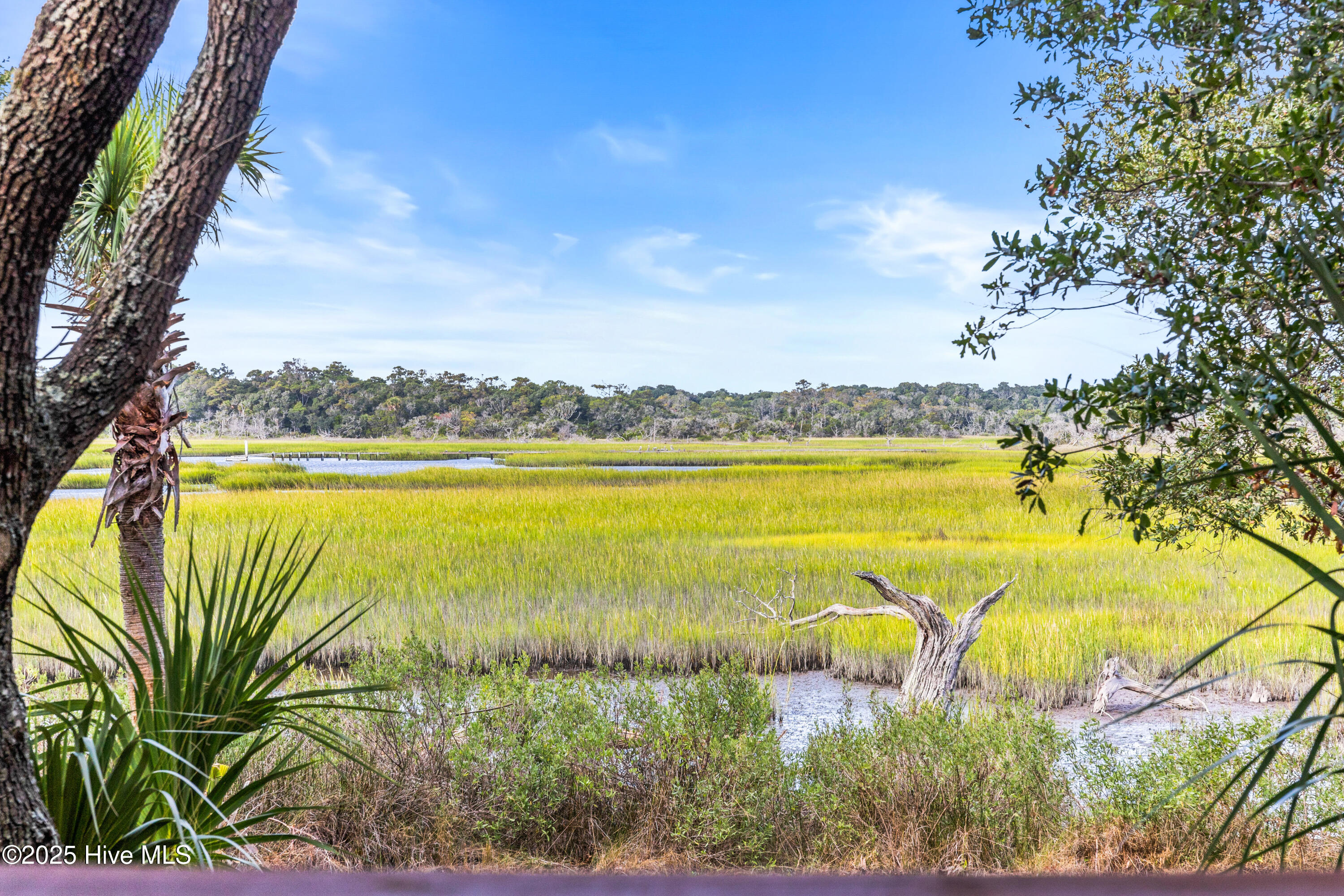 100531454 | Photo 79