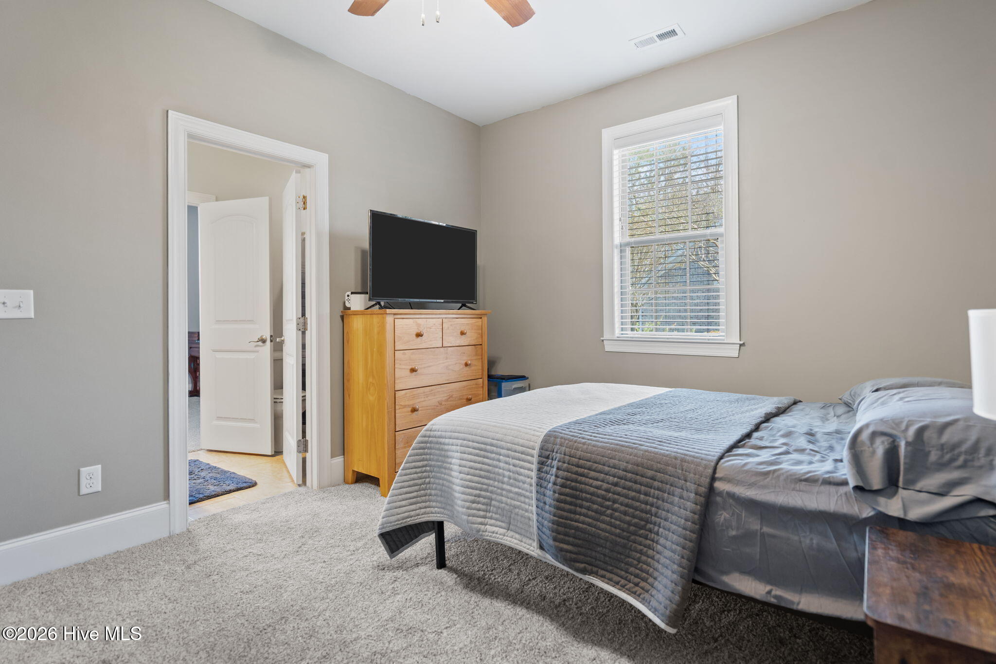 100563487 | Photo 30