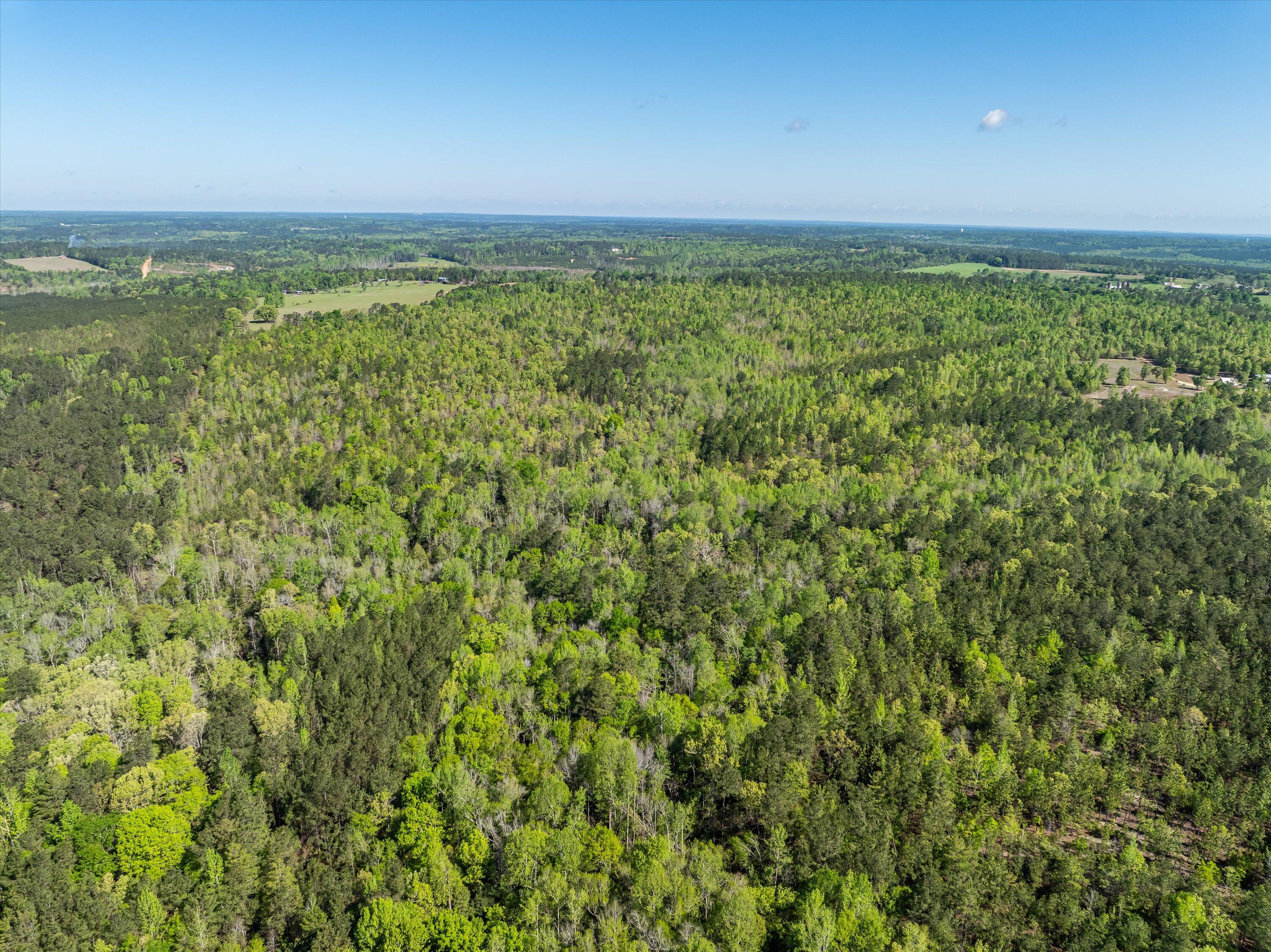 17-DJI_0677-HDR