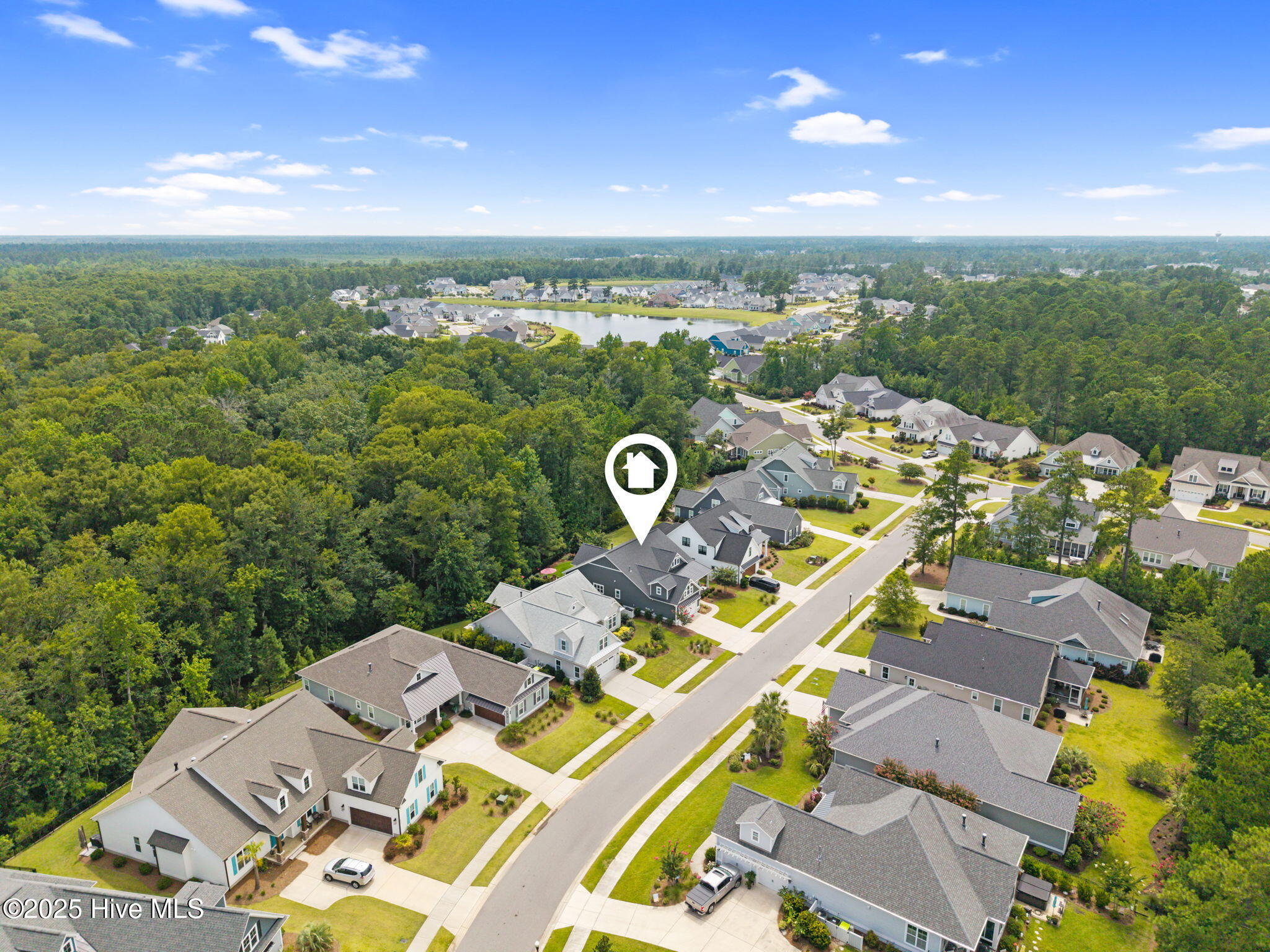 100529487 | Photo 45