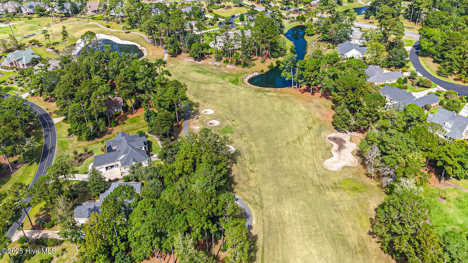 100534571 | Photo 119