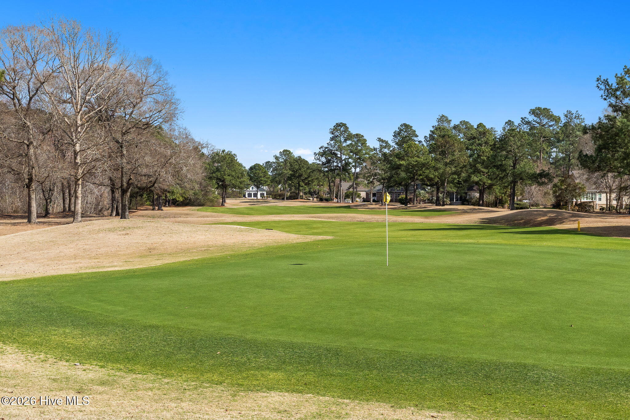 100555775 | Photo 42