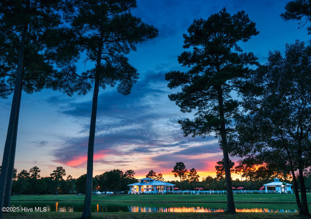 100527117 | Photo 65