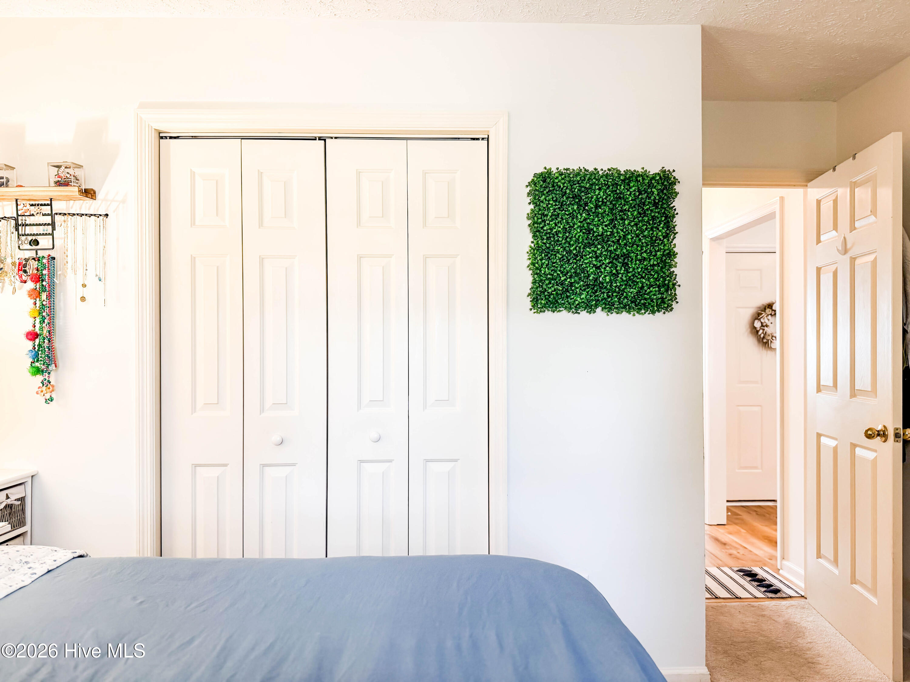 100556502 | Photo 24