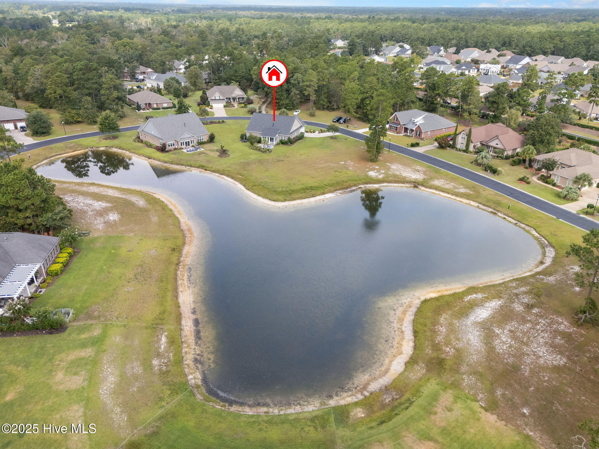 100531104 | Photo 62