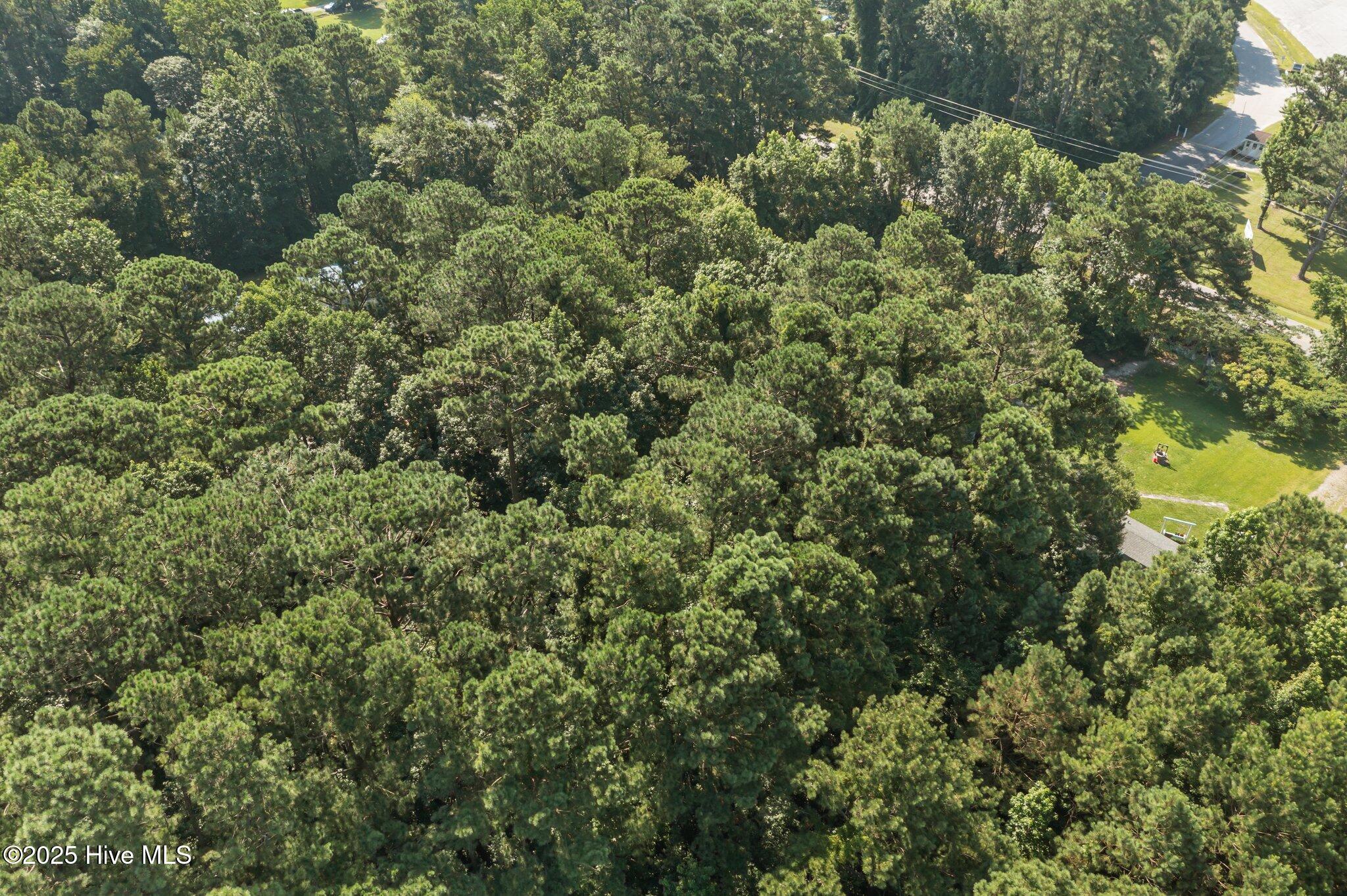 105 Seahorse Drive,Beaufort