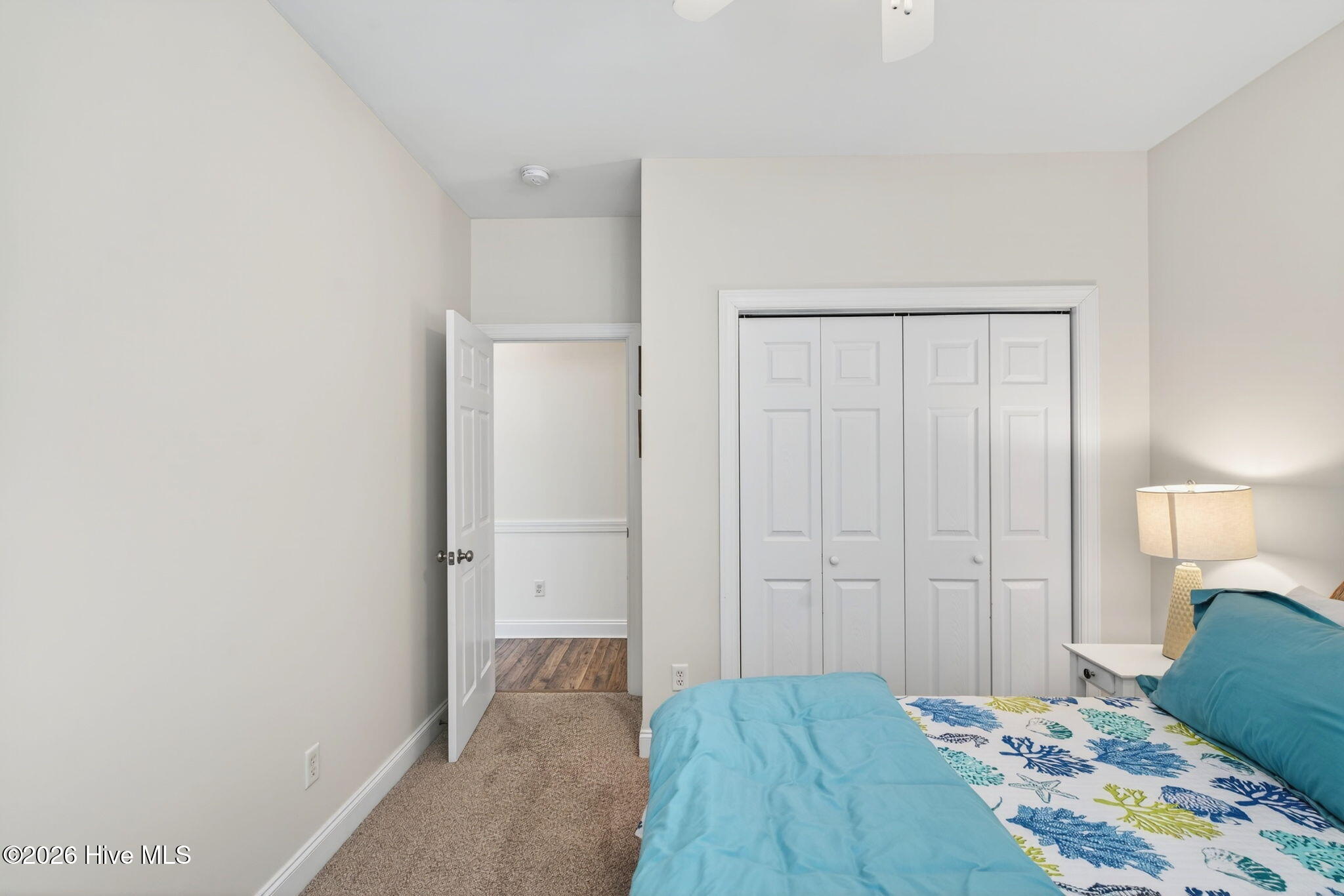 100558158 | Photo 31