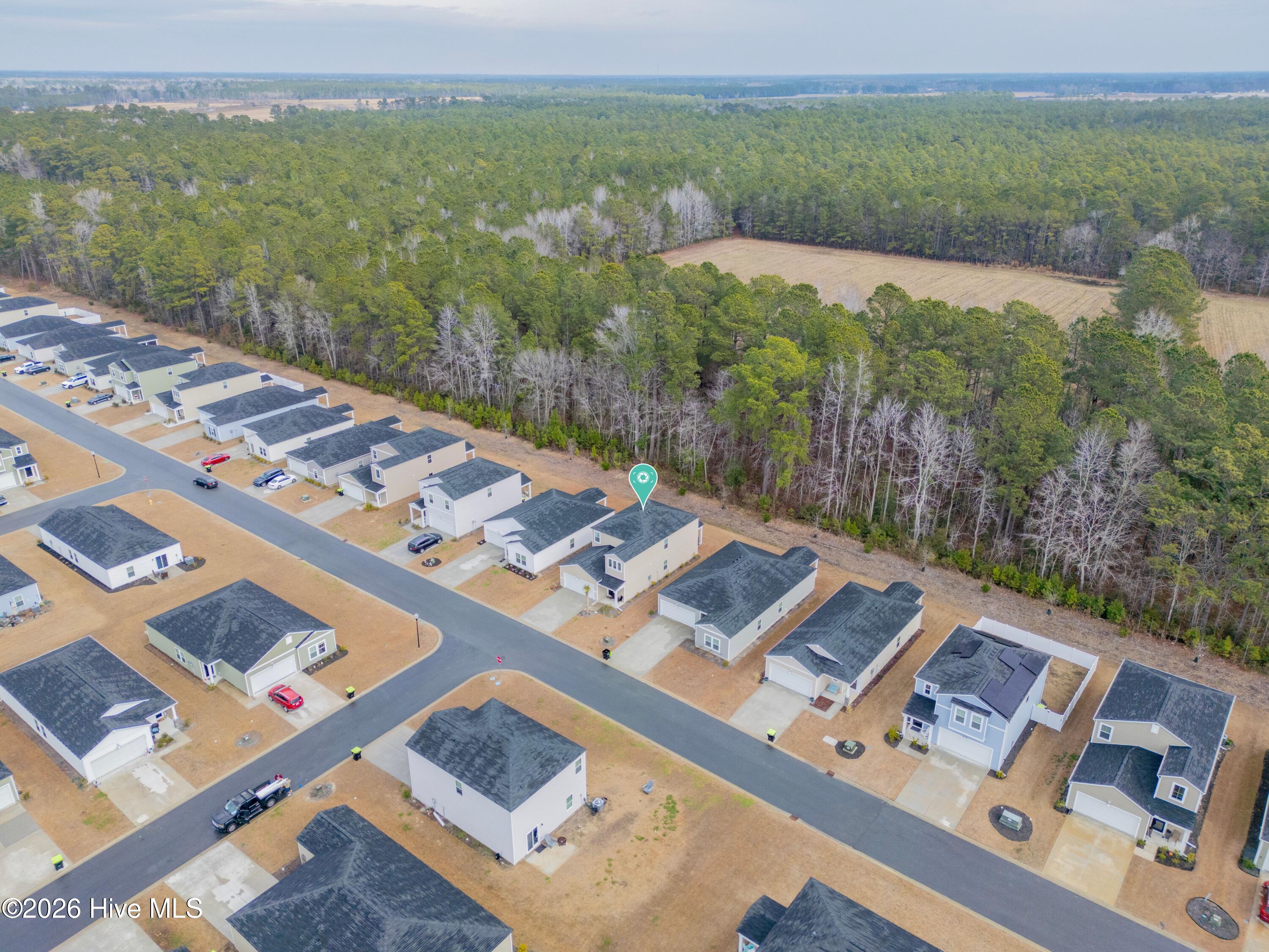 100554355 | Photo 37