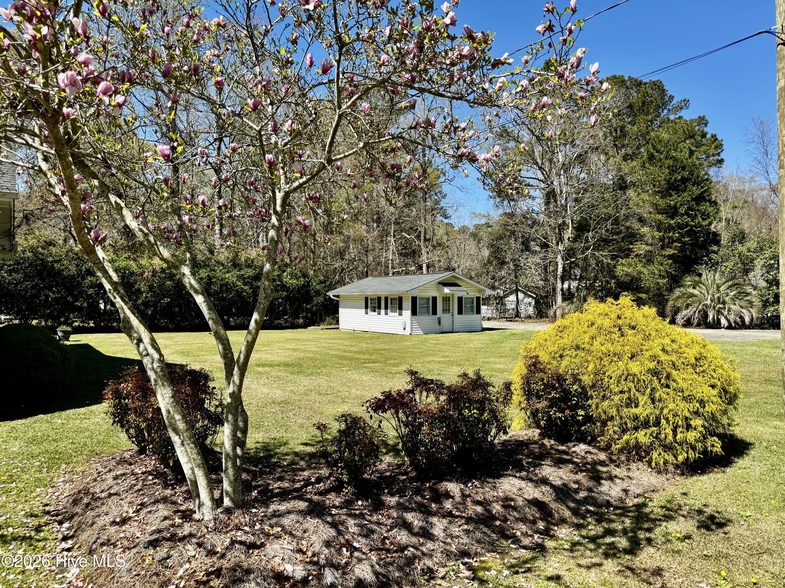 100562986 | Photo 10