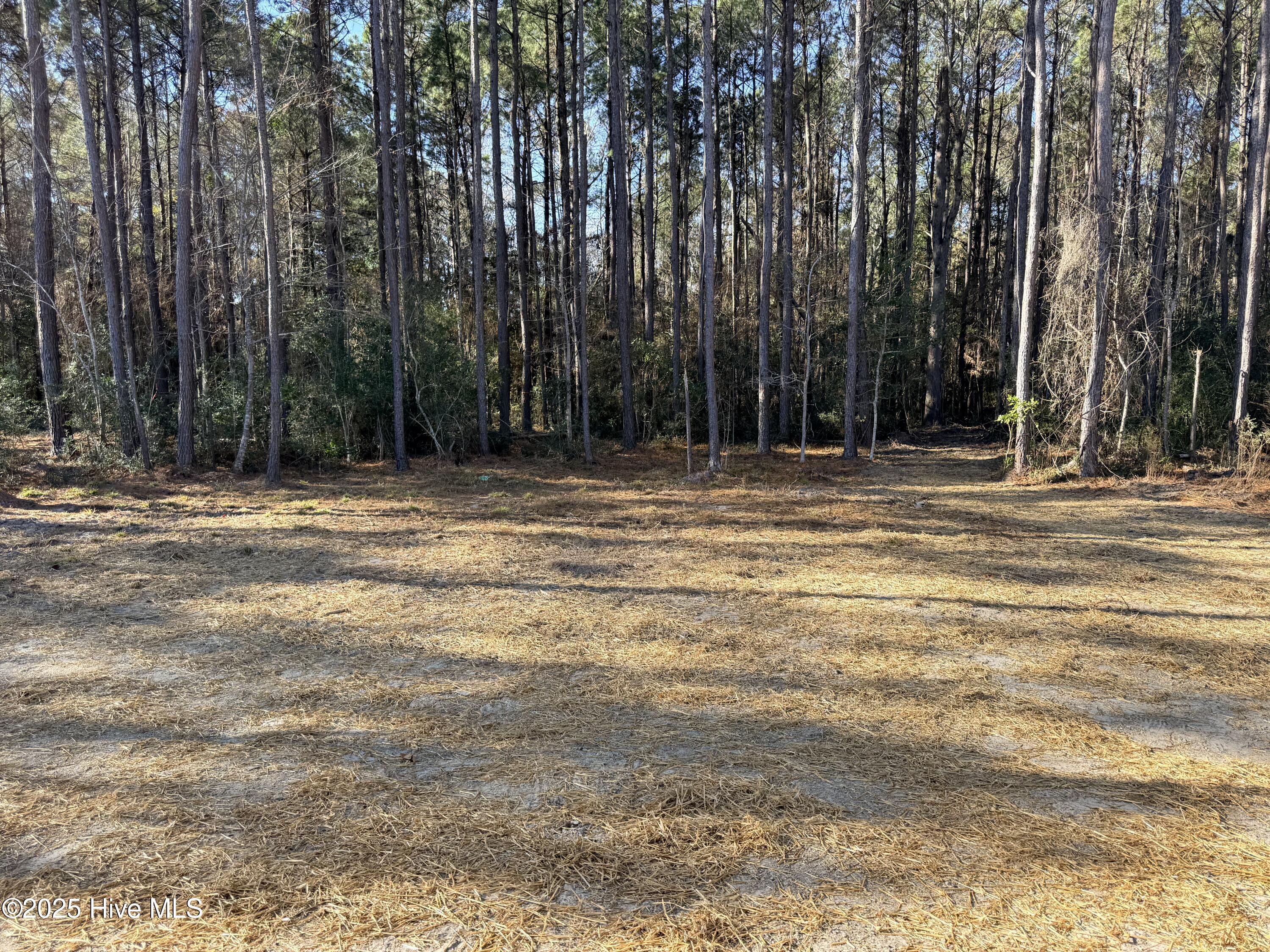 100543905 | Photo 18