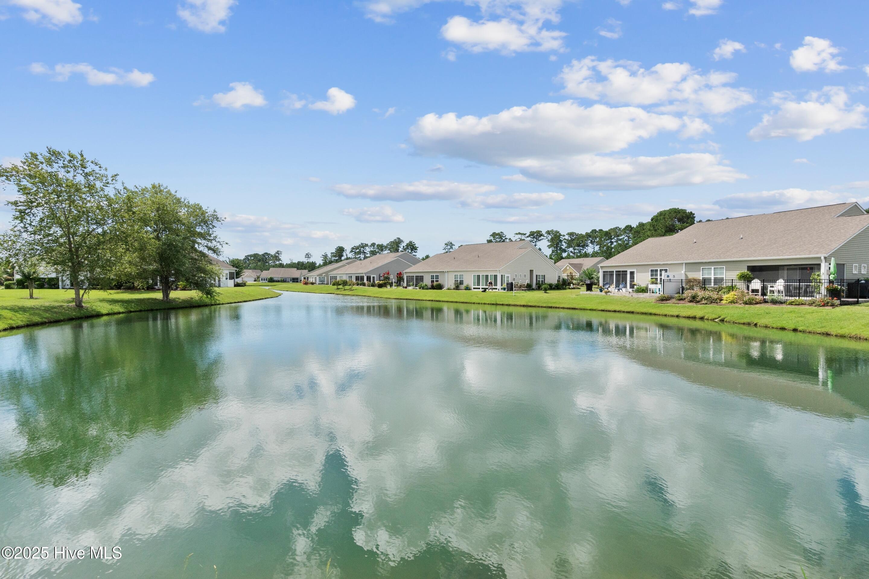 100525343 | Photo 32