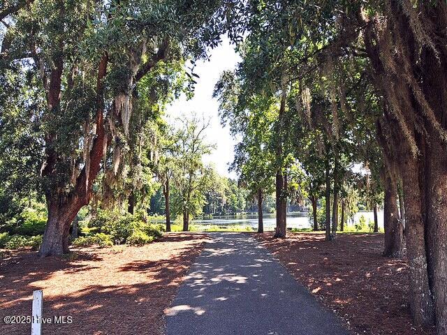 100544453 | Photo 56