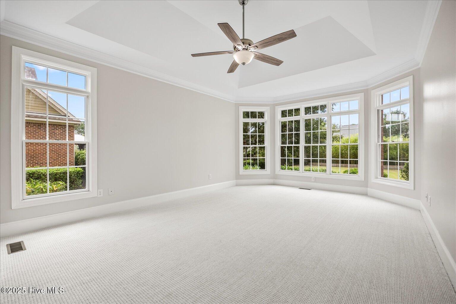 100536137 | Photo 20