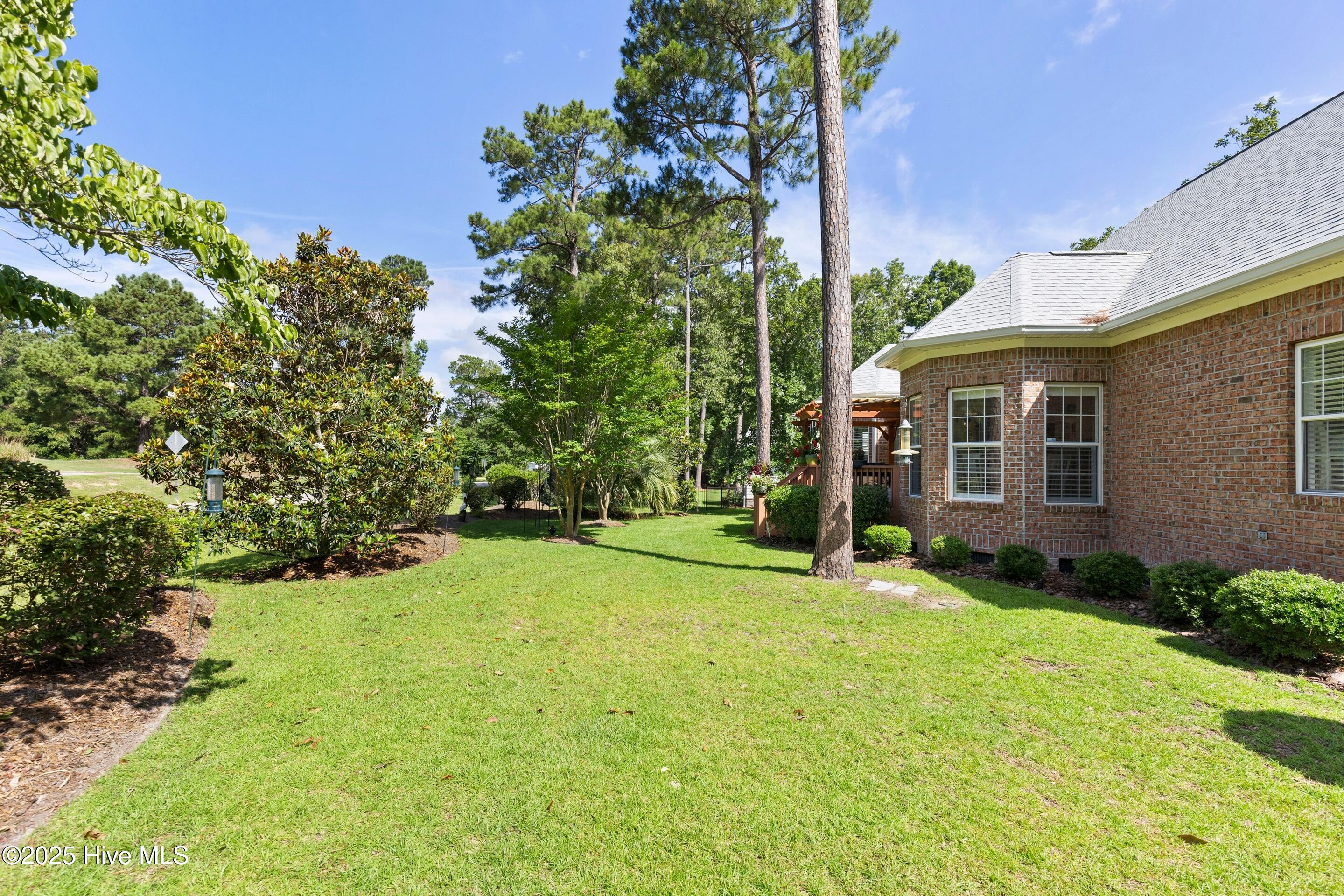 100536475 | Photo 52