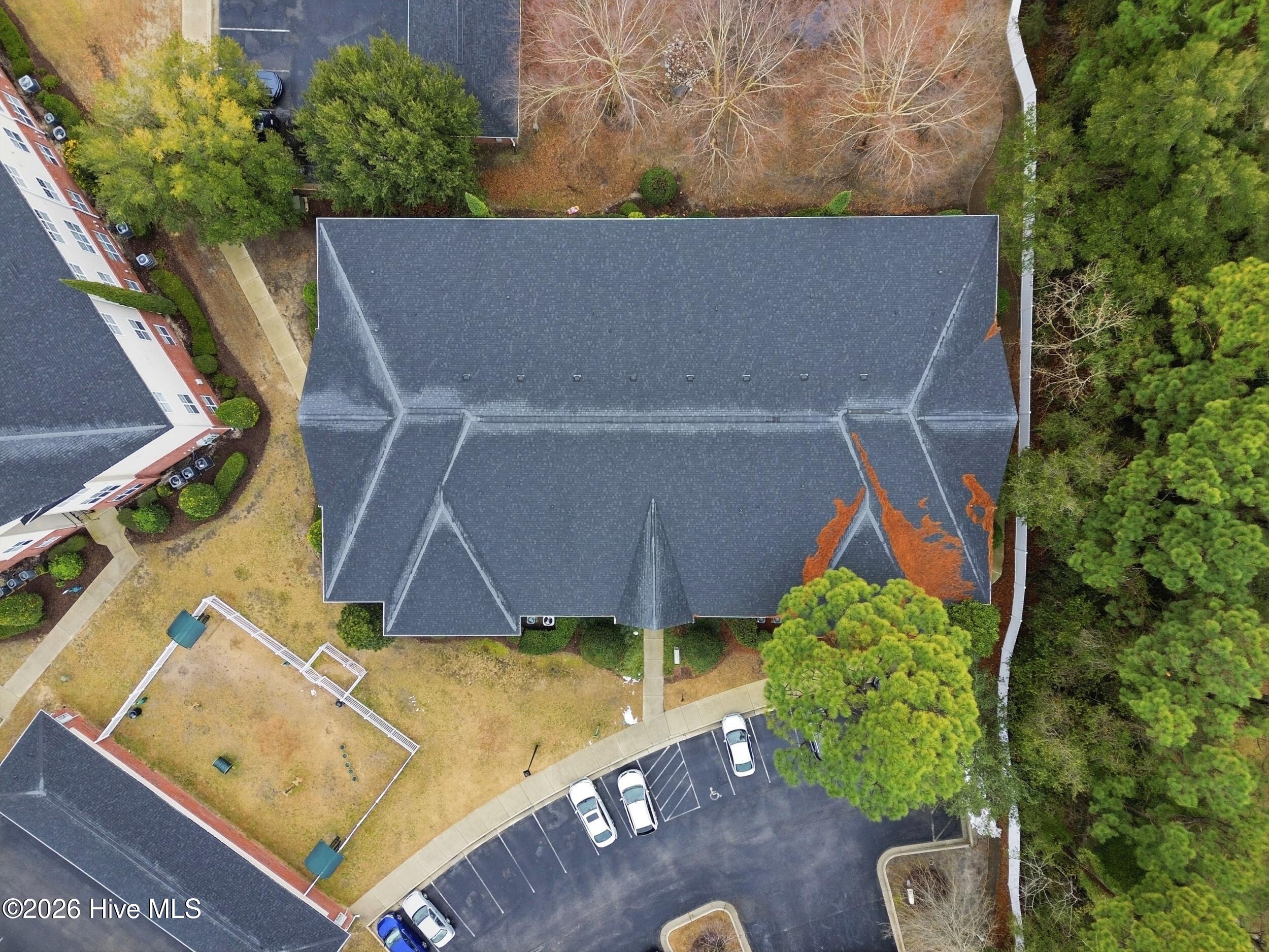 100553296 | Photo 36