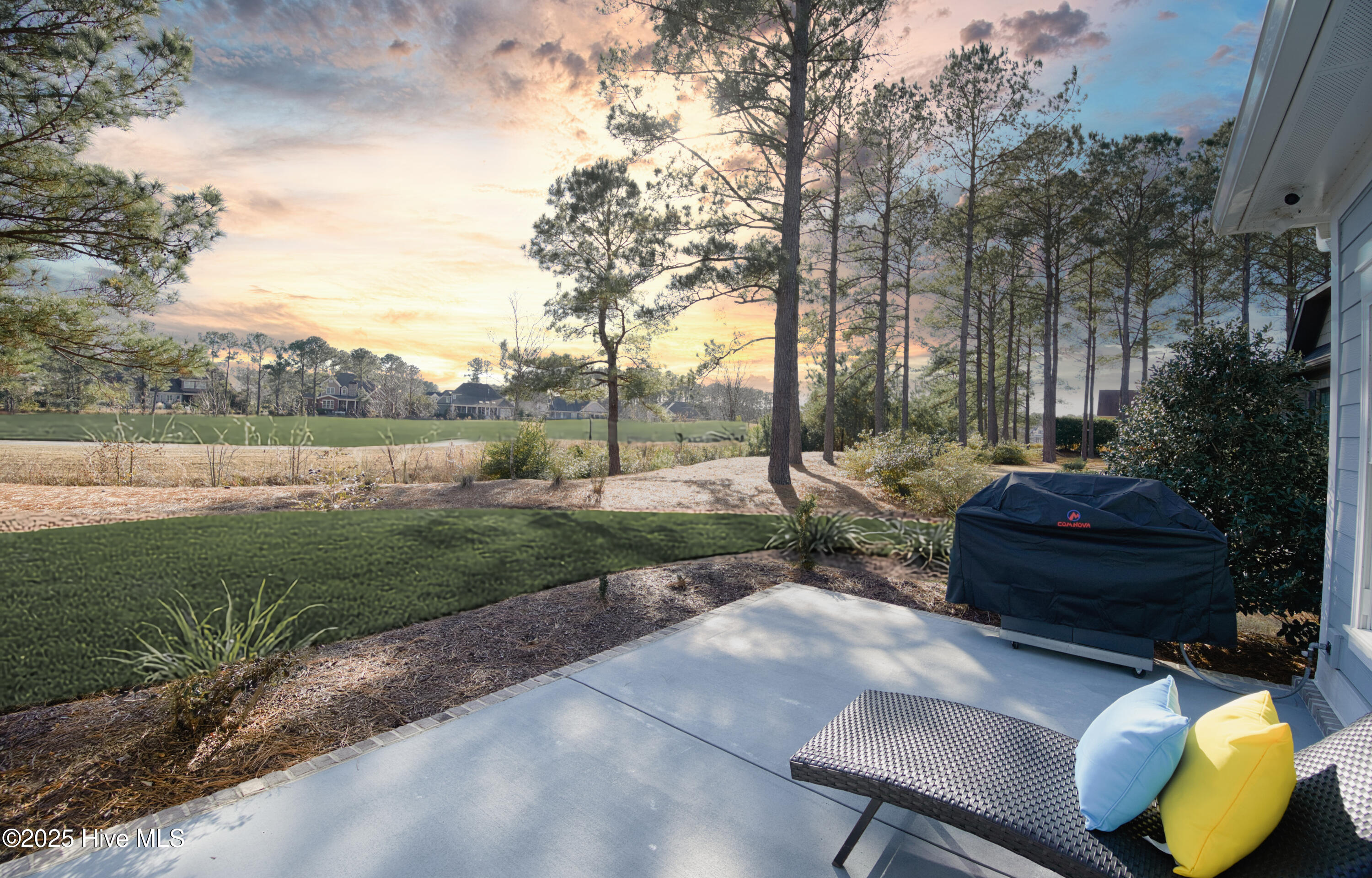 100546521 | Photo 15