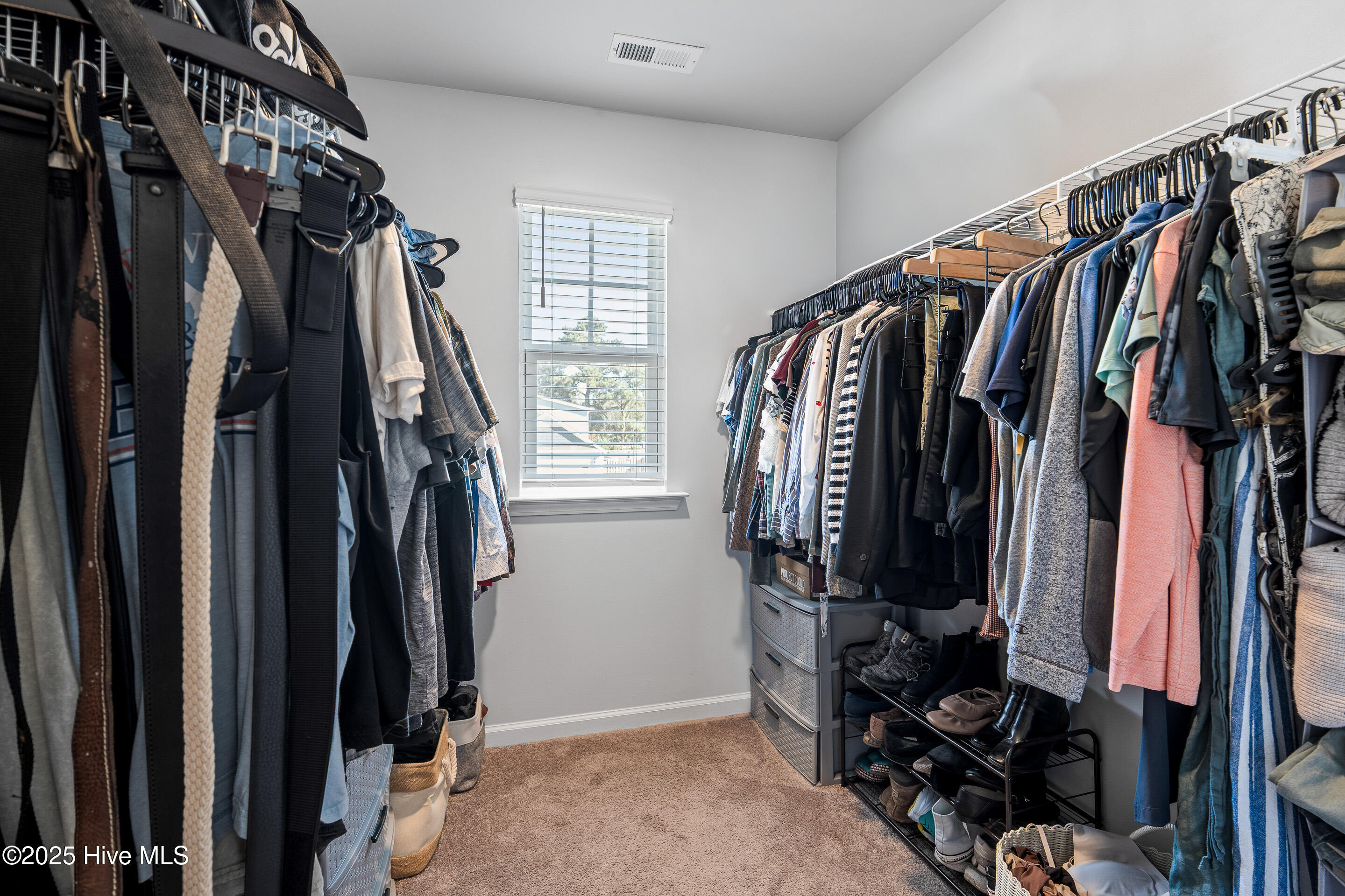 100539247 | Photo 31