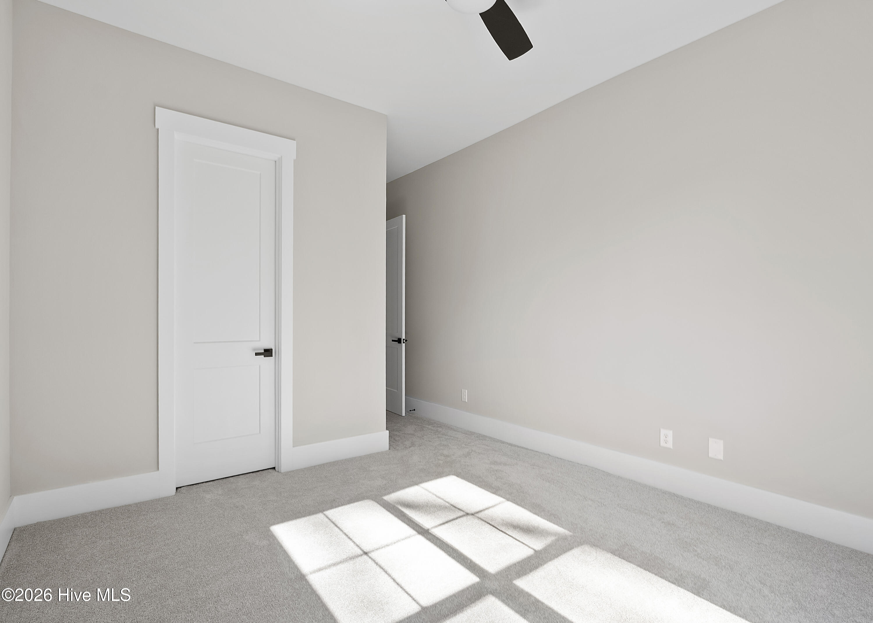 100557015 | Photo 12