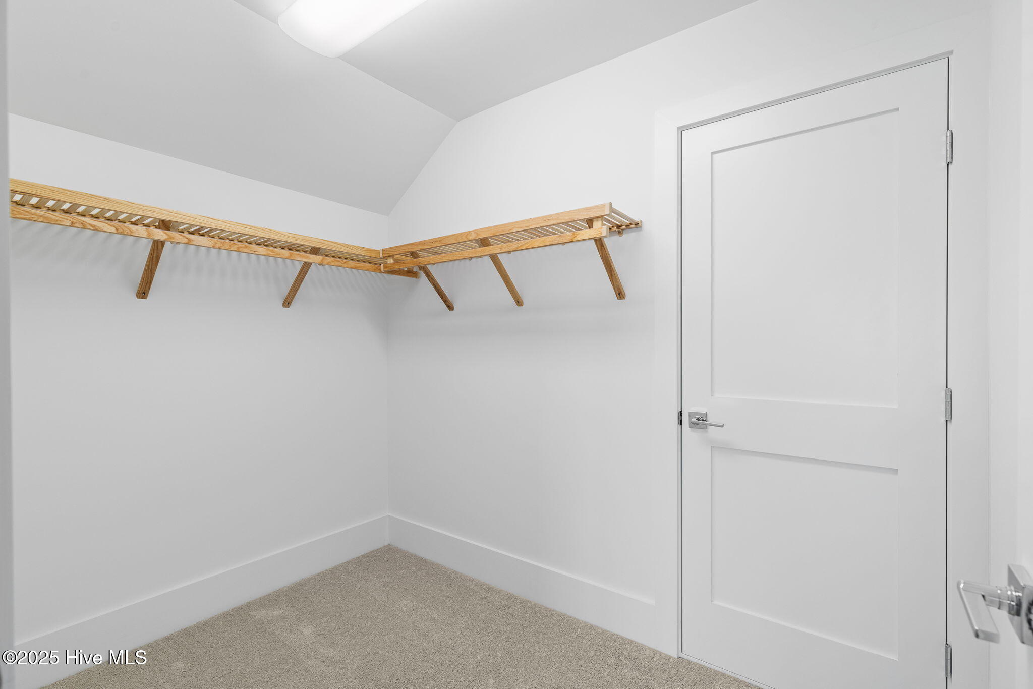 100523885 | Photo 53