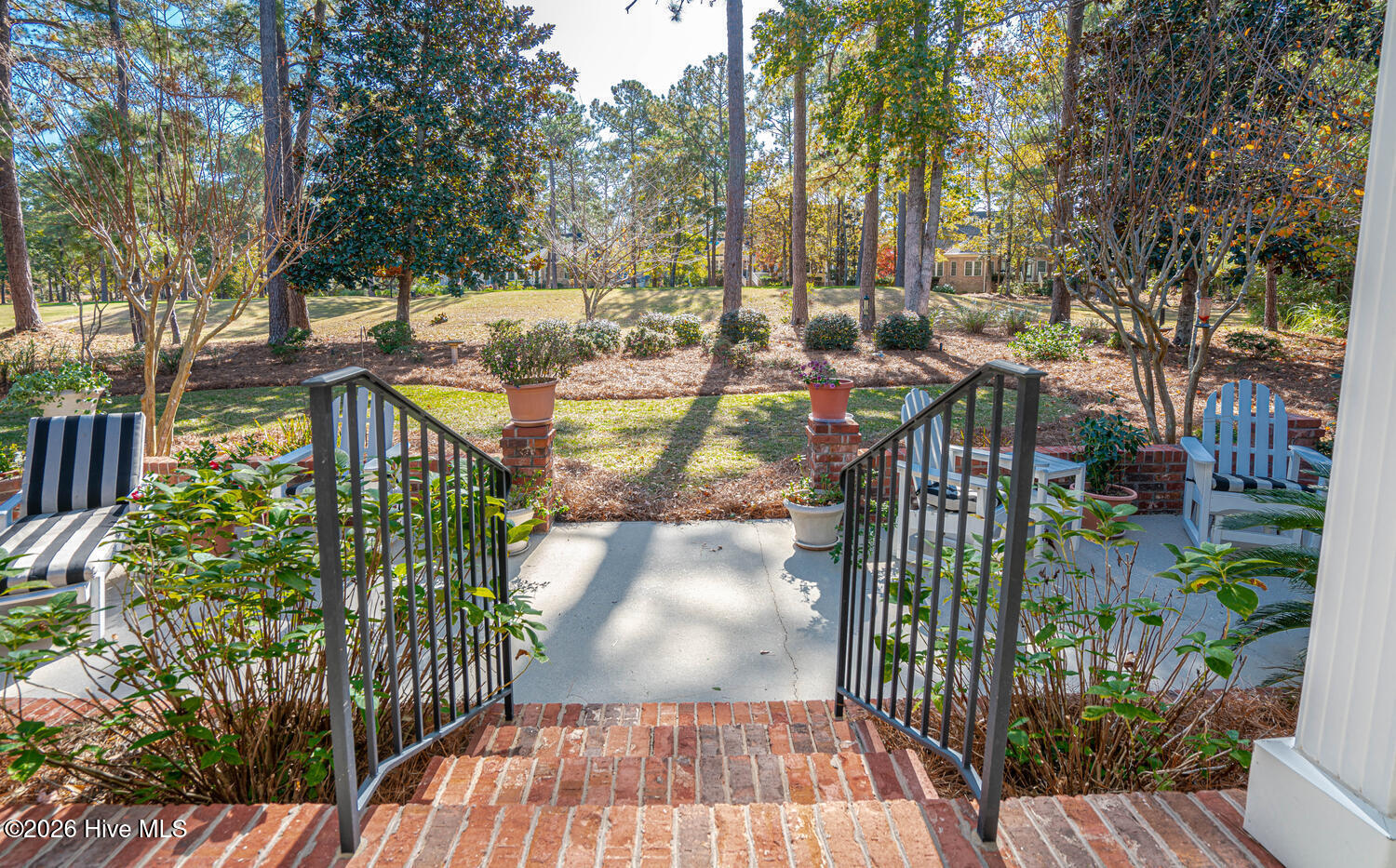 100551245 | Photo 47