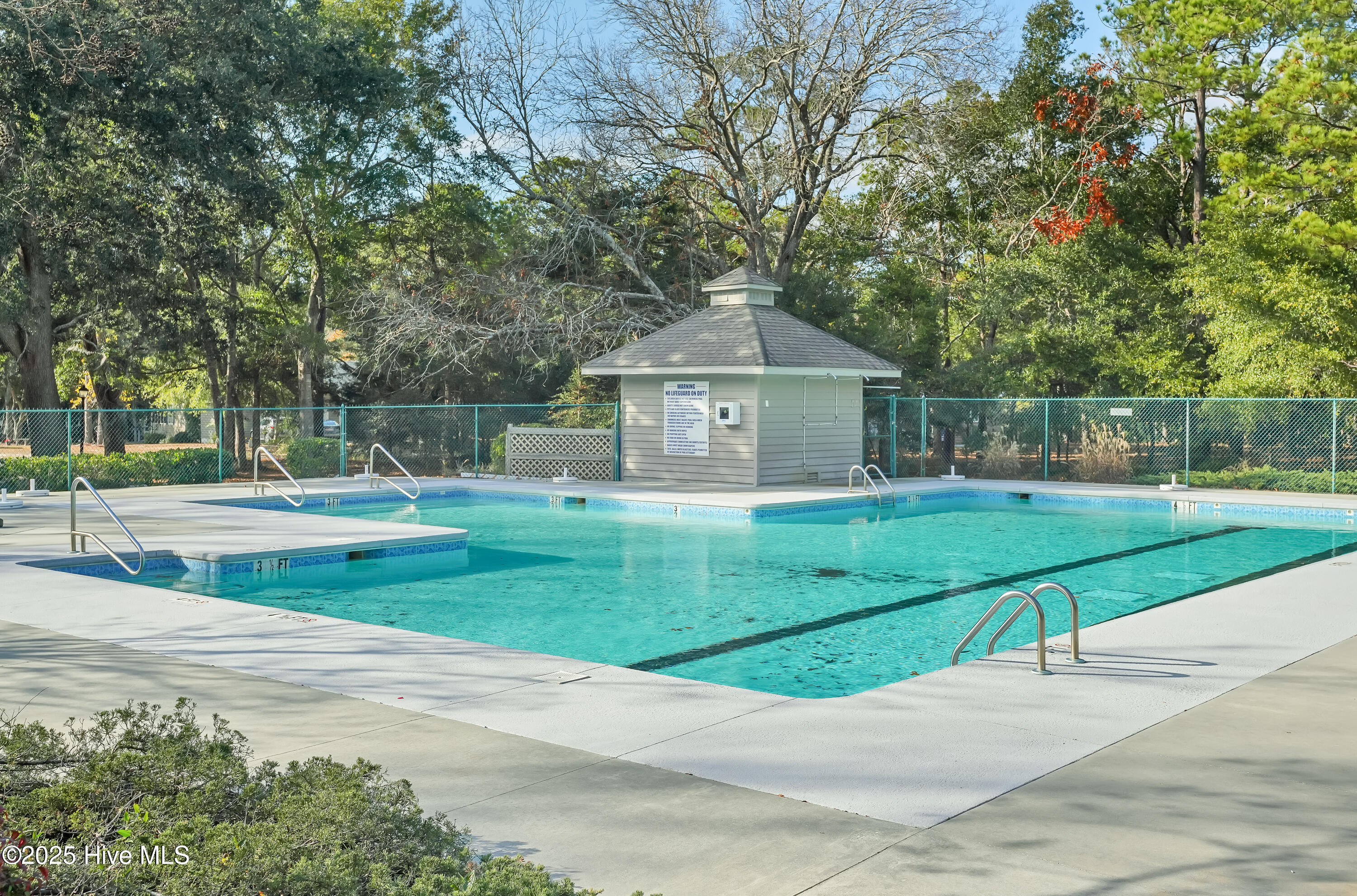 100534894 | Photo 29