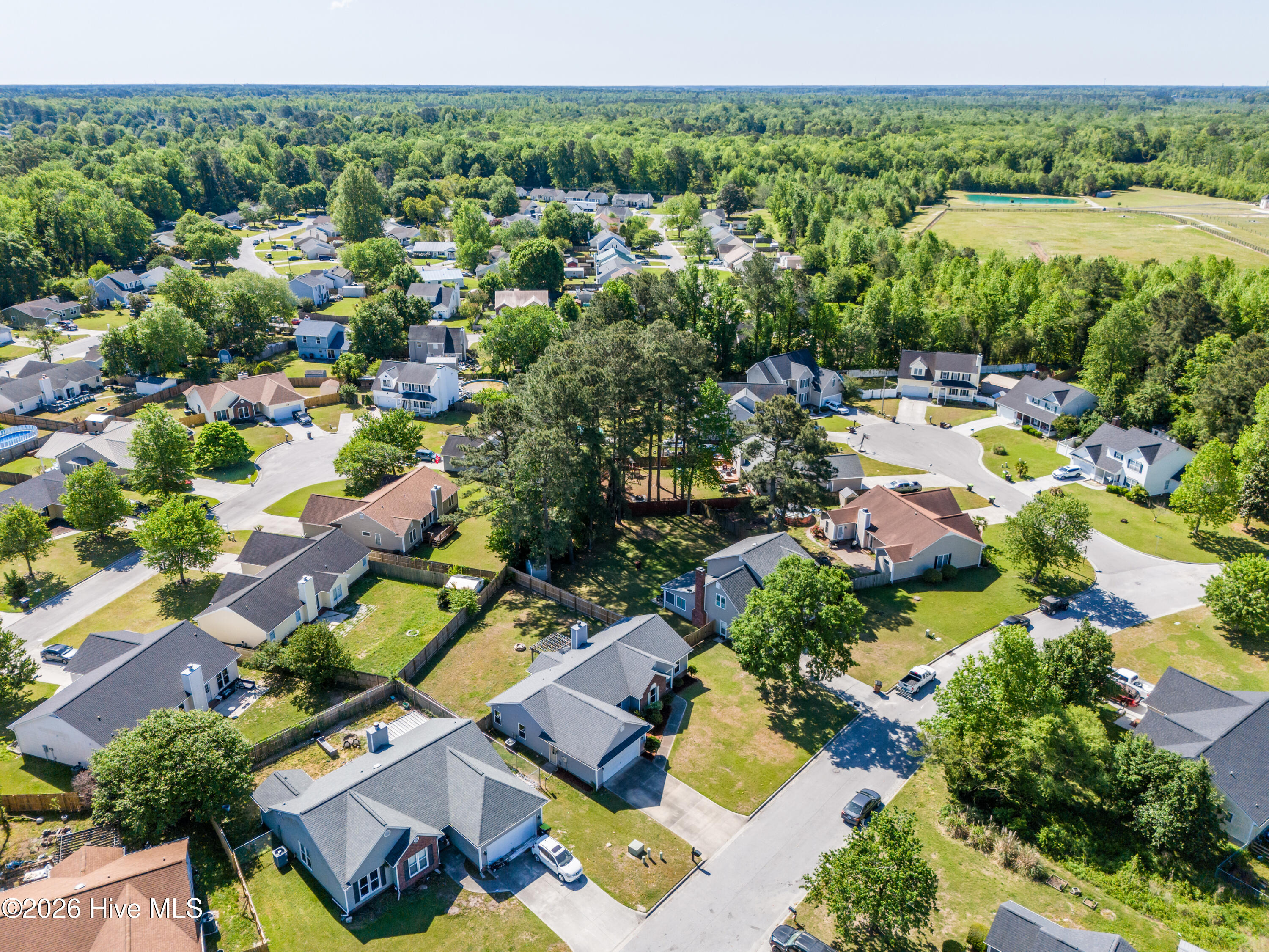 100568979 | Photo 34