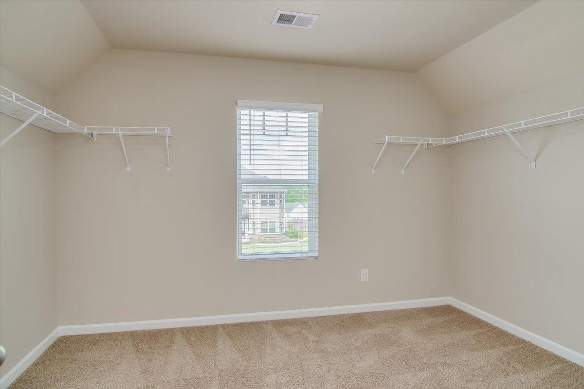 5026 Vine Lane