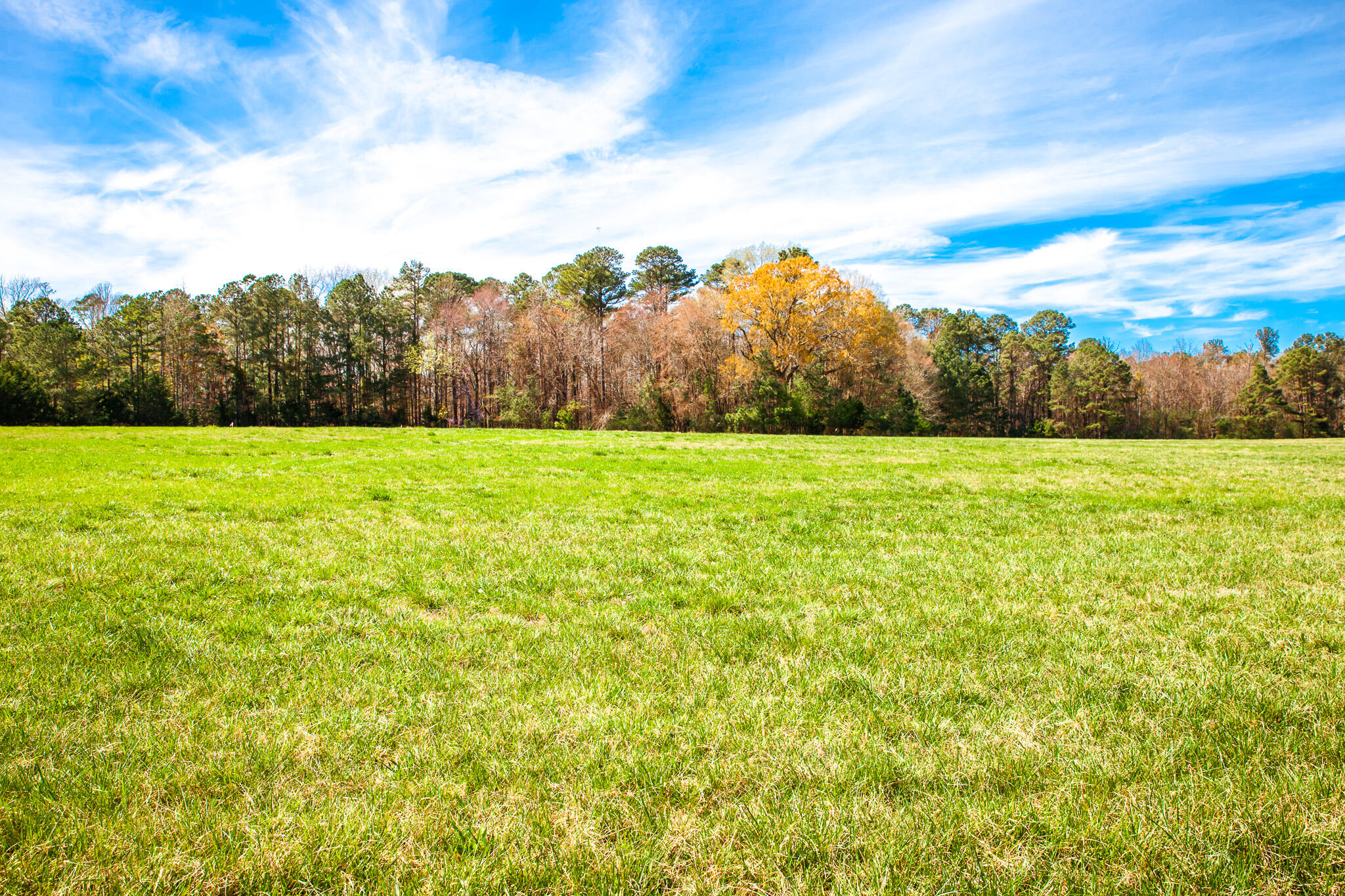 LOT 2 MISTLETOE RD, Appling, GA, 30802