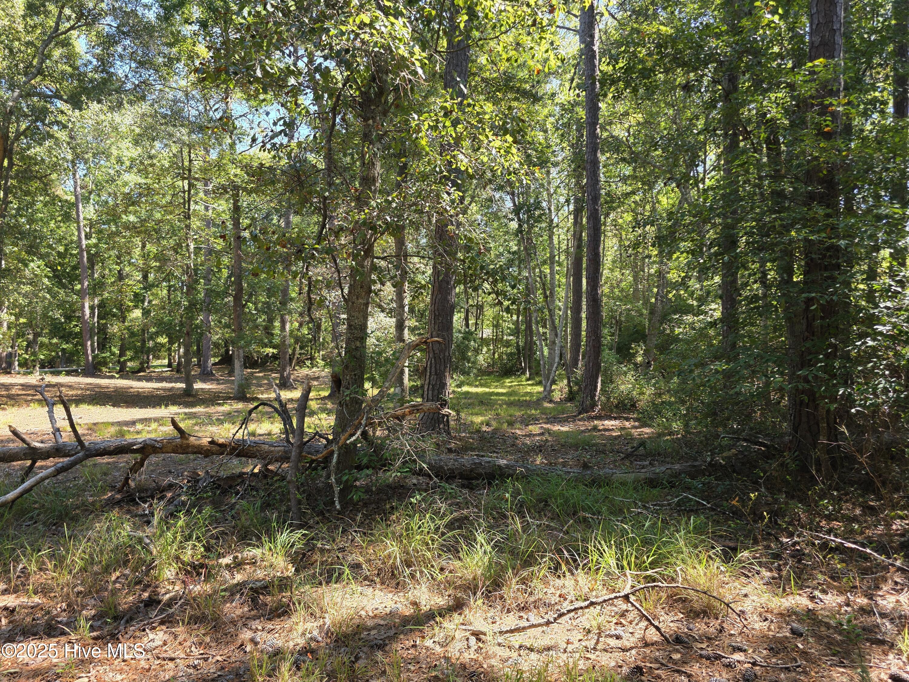 100532250 | Photo 22