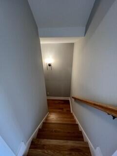 4319 Sabal