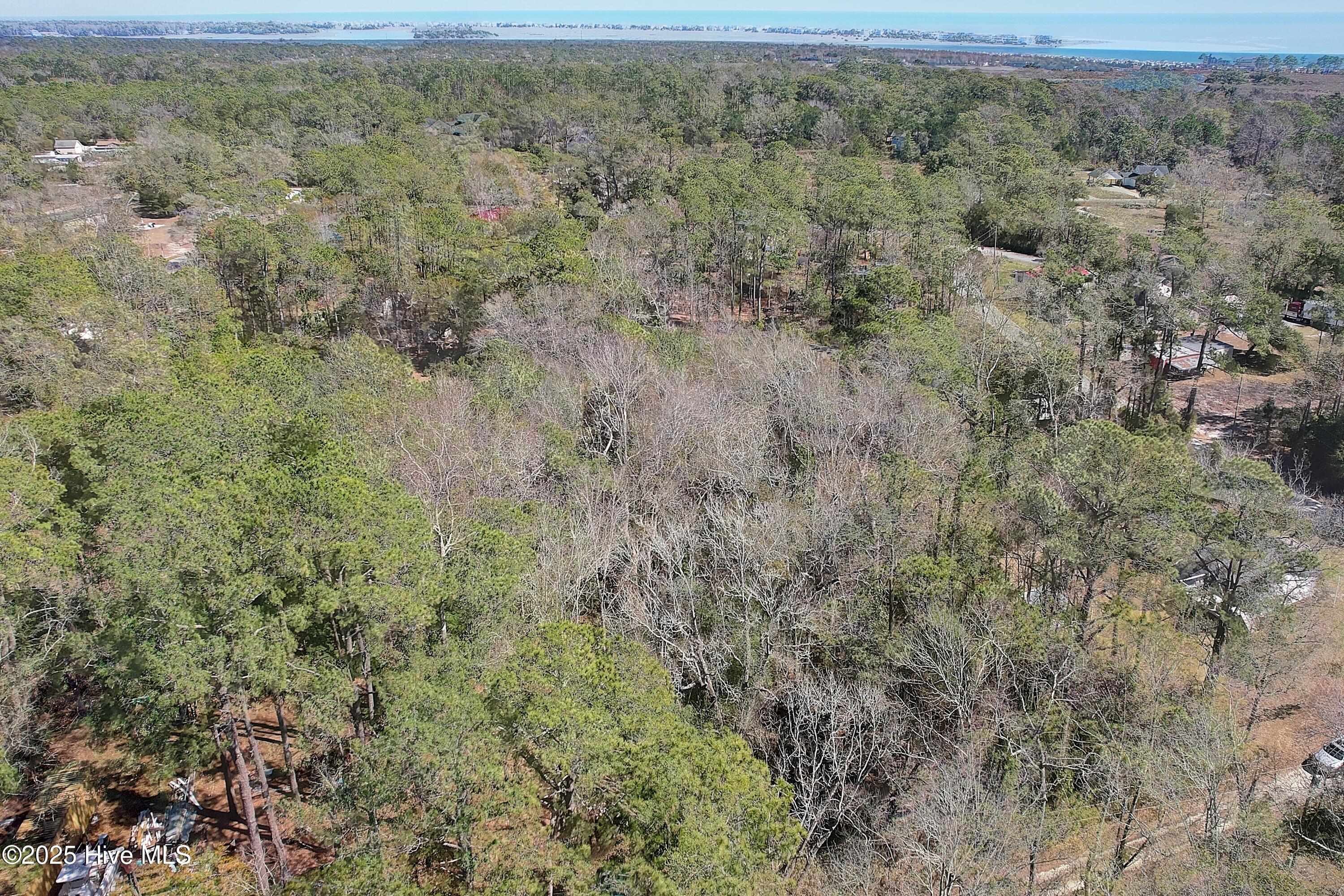 100543112 | Photo 11