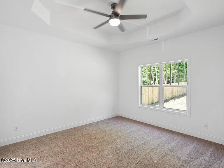 100534063 | Photo 21