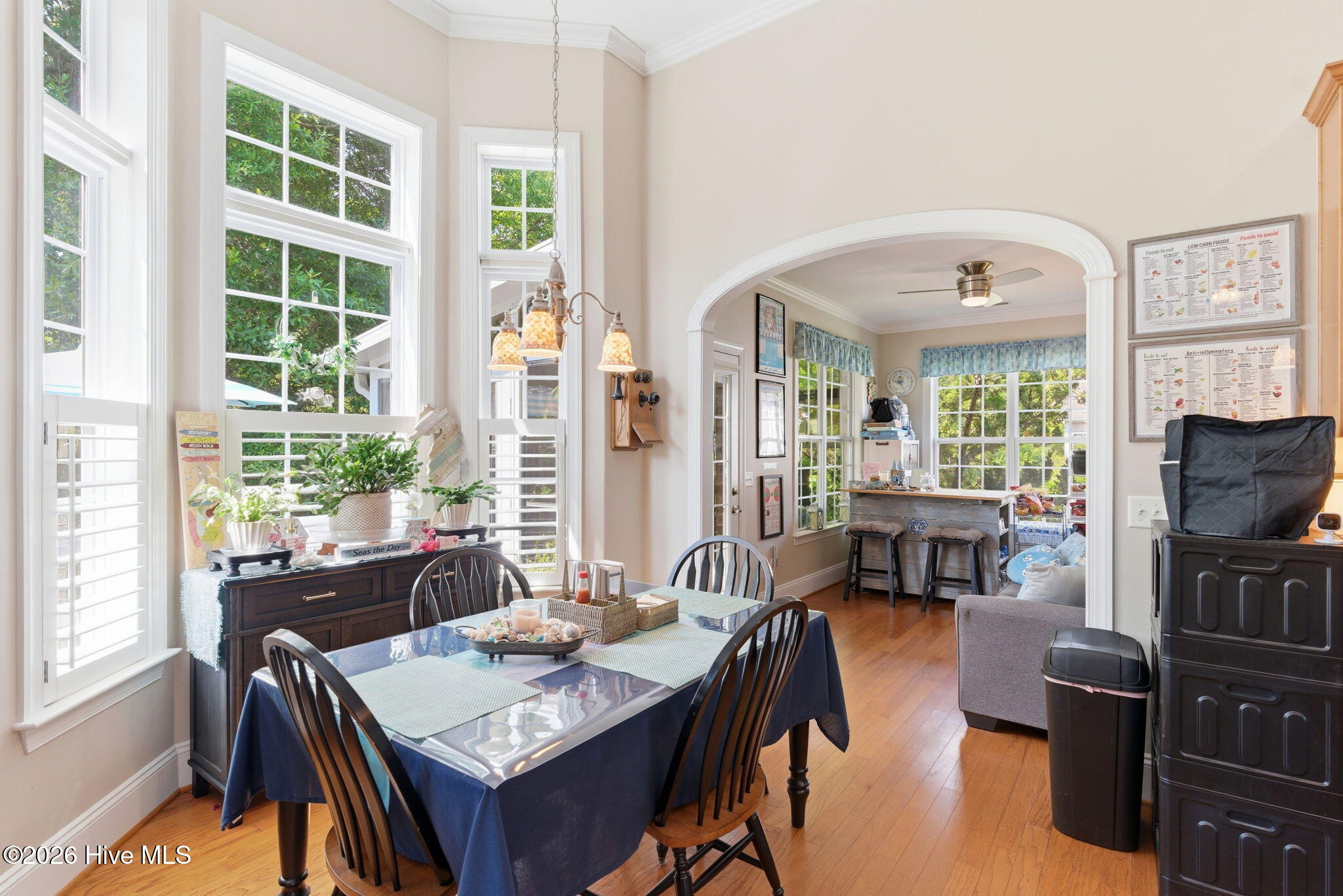 100569602 | Photo 33