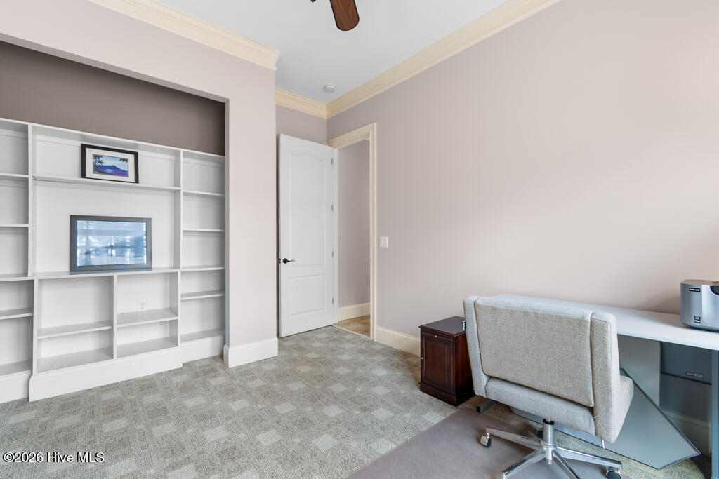 100558482 | Photo 59