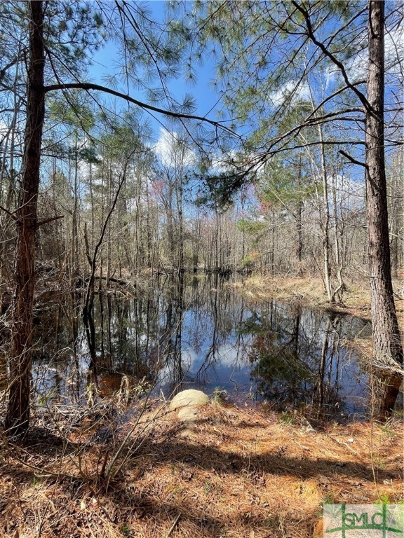 0 FISH Road, Newington, GA, 30446