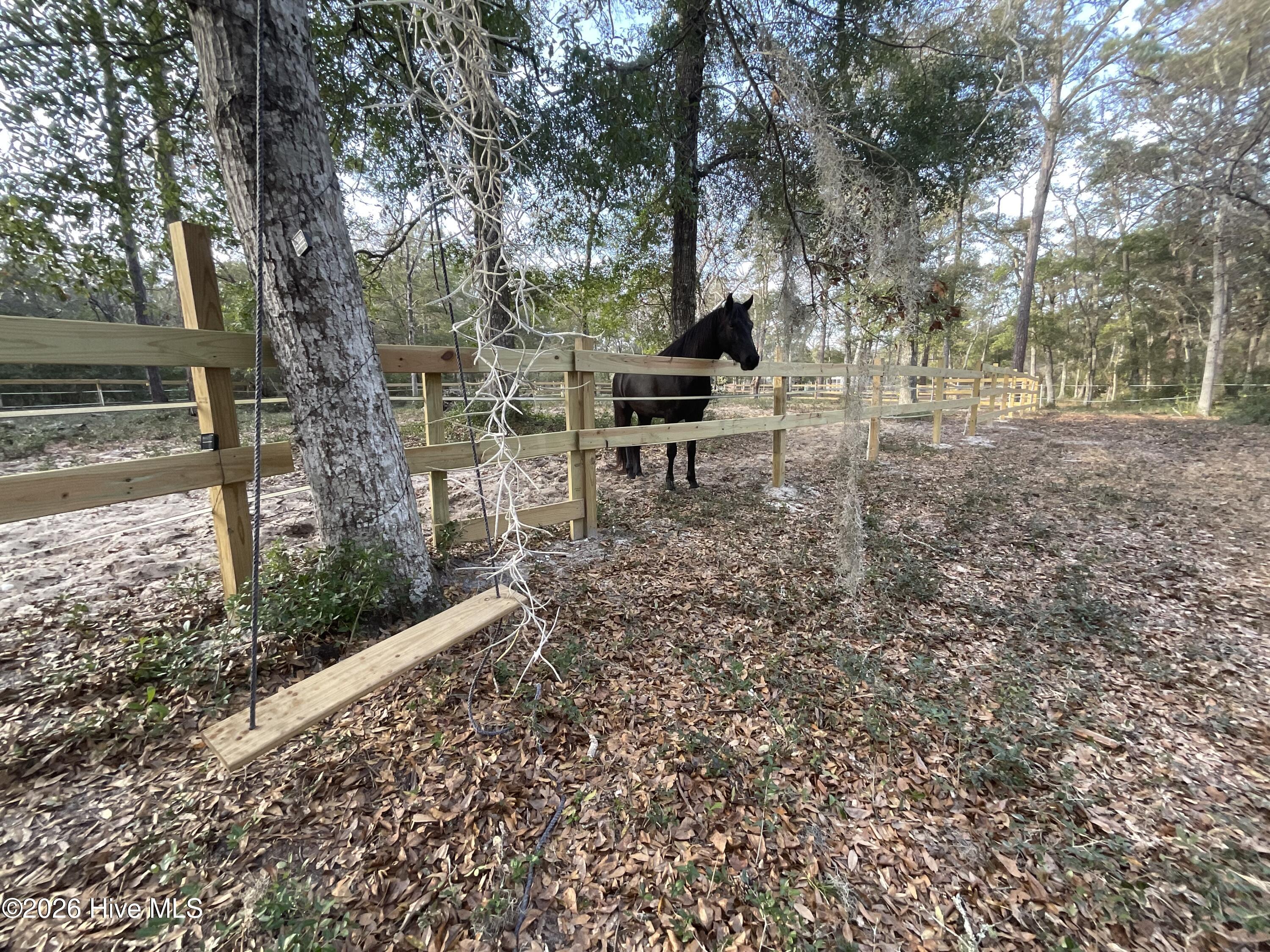 100547303 | Photo 61