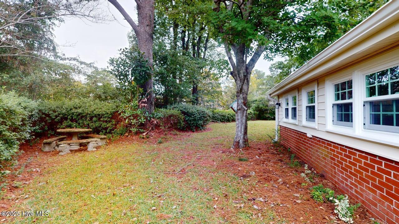 100536677 | Photo 29