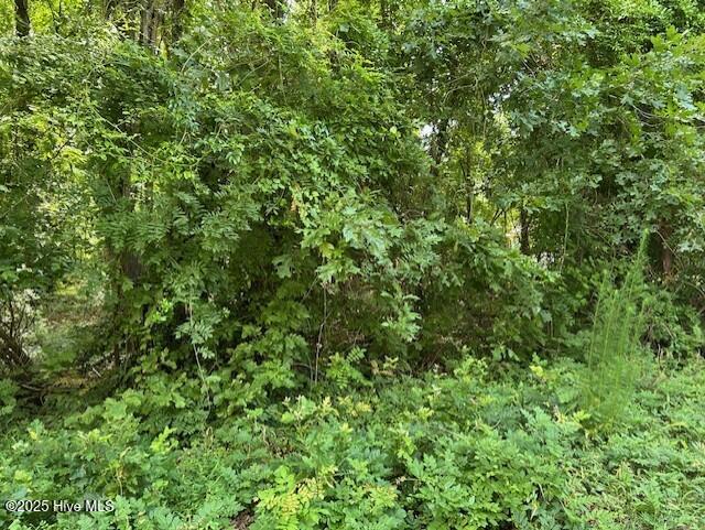 Hall & Nixon Real Estate | Elizabeth City Real Estate