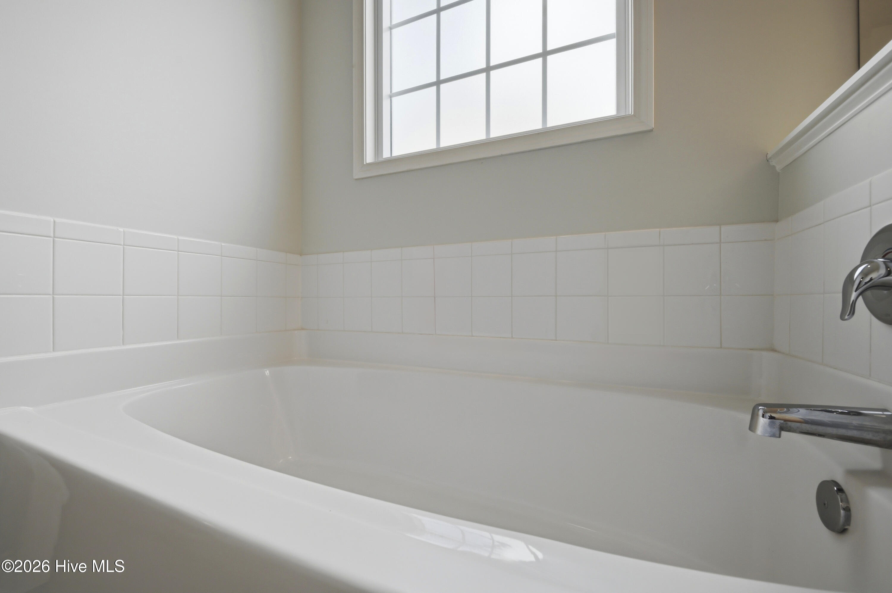 100563104 | Photo 21