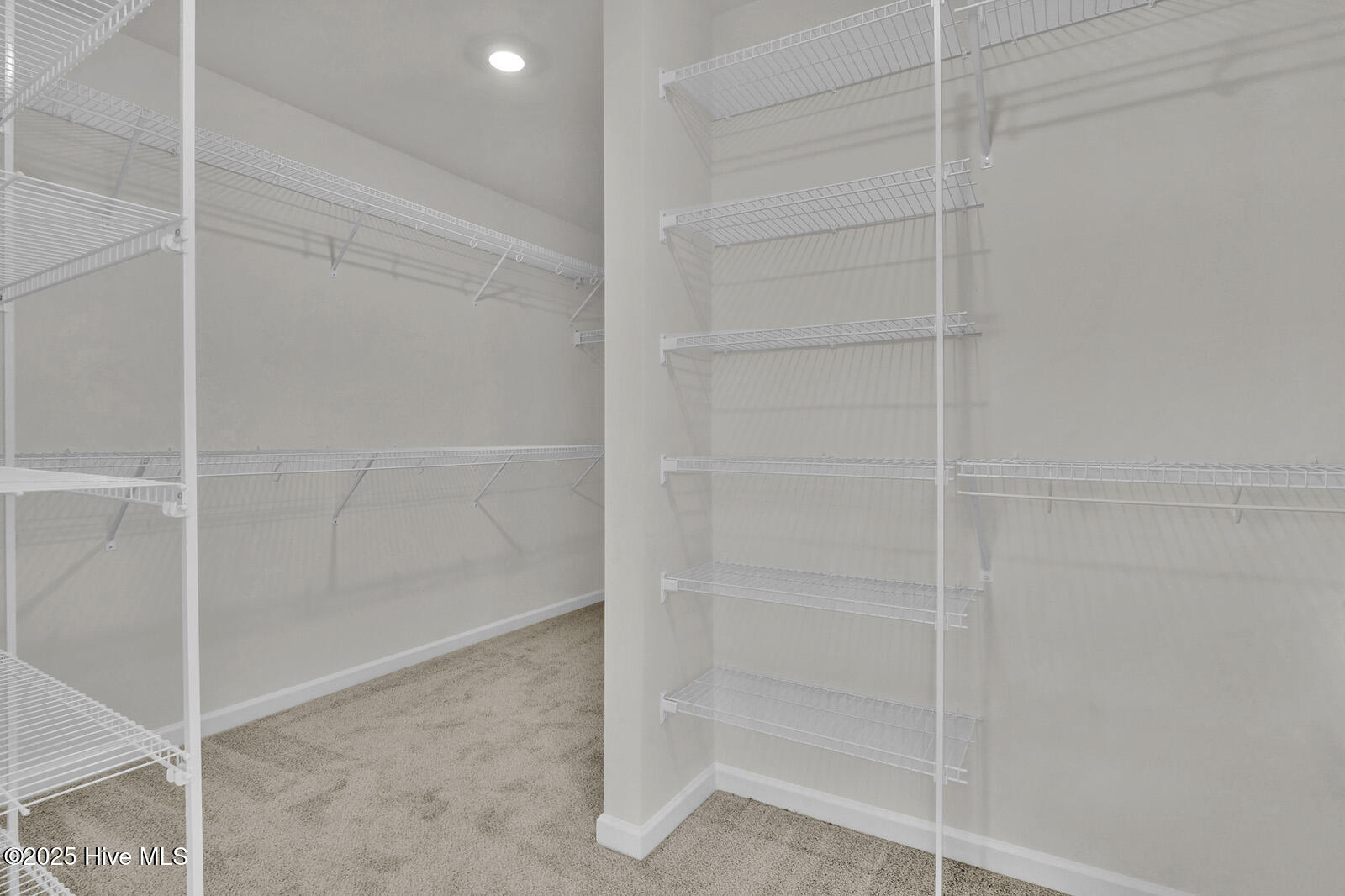 100497976 | Photo 28