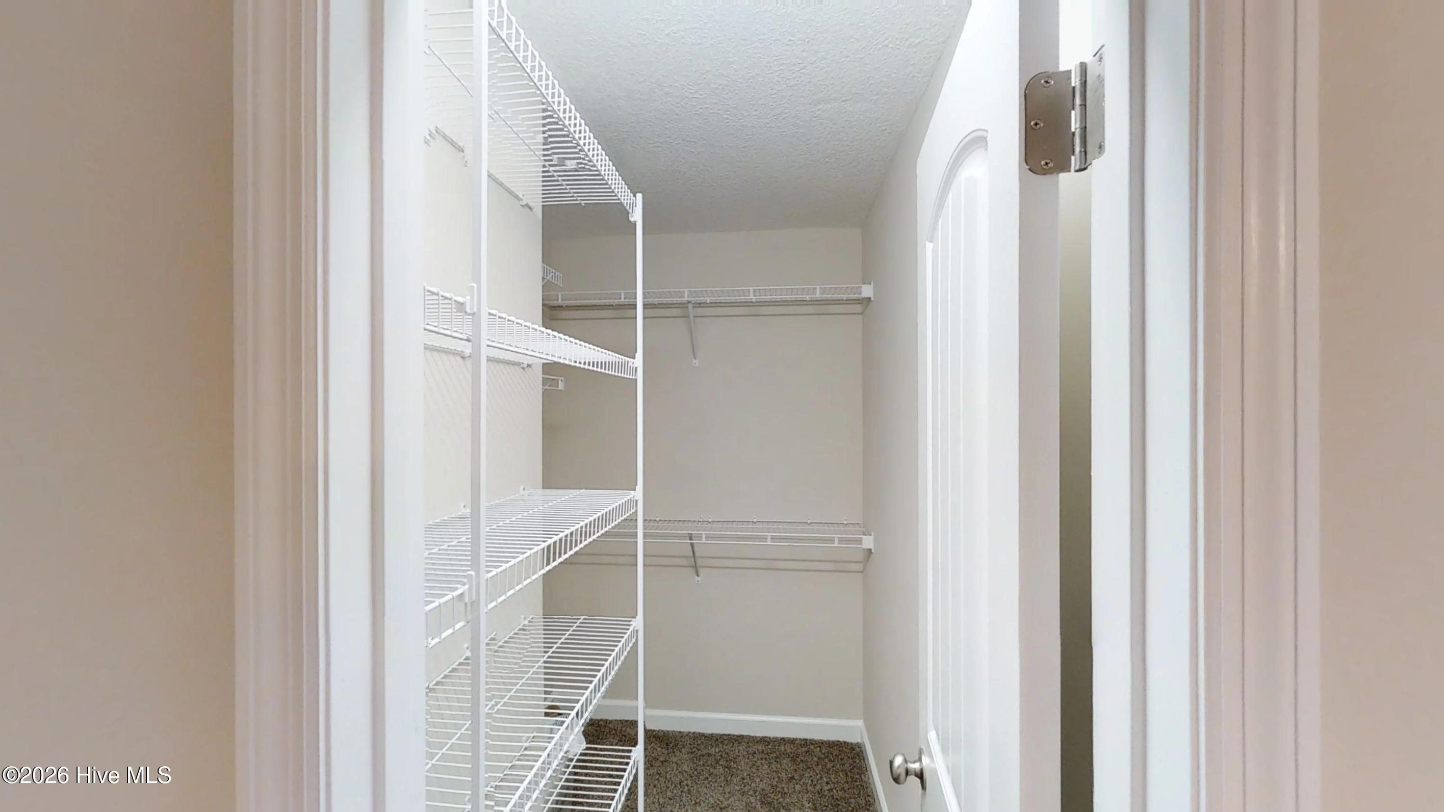 100563433 | Photo 13