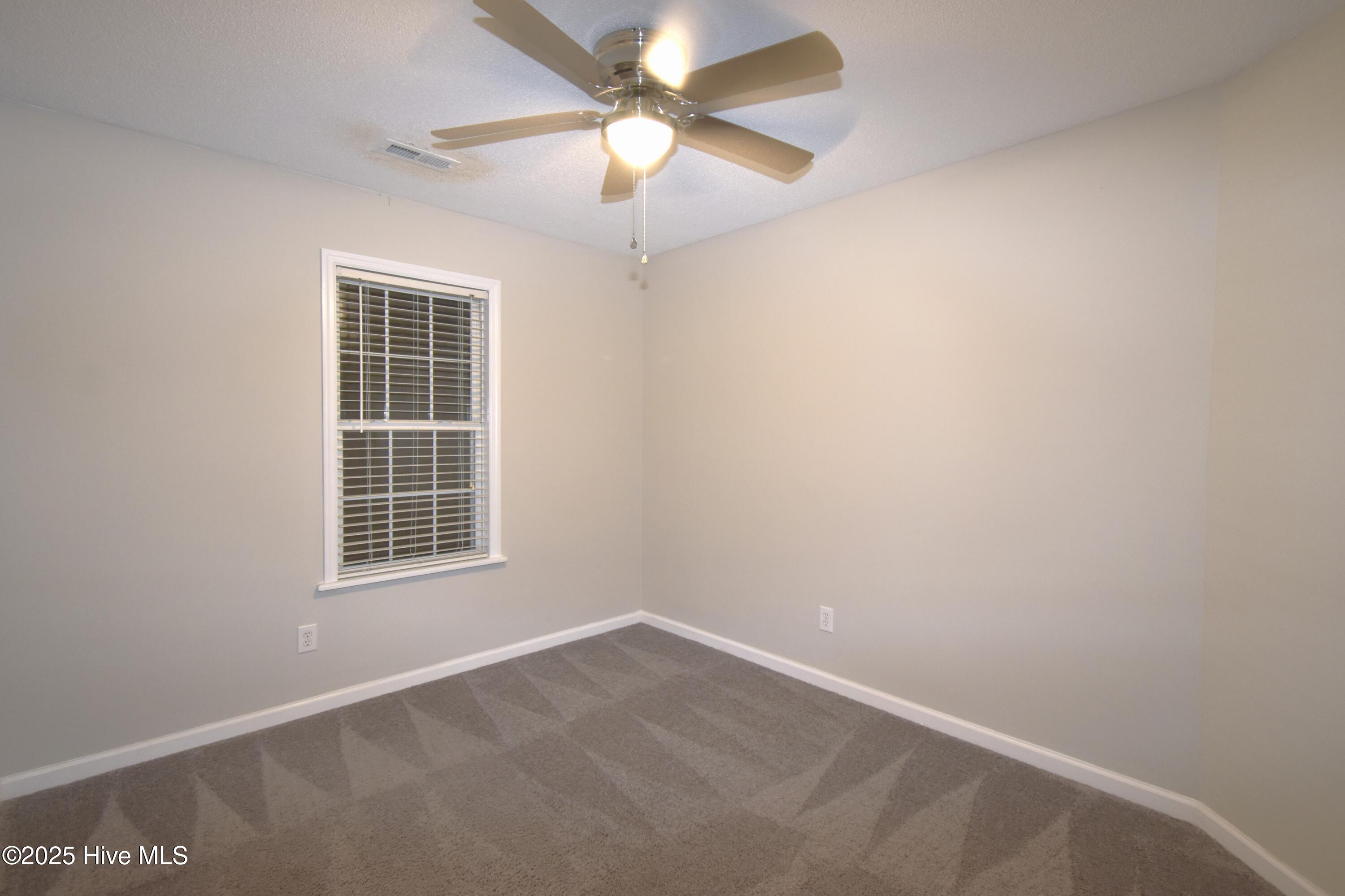 100546185 | Photo 20