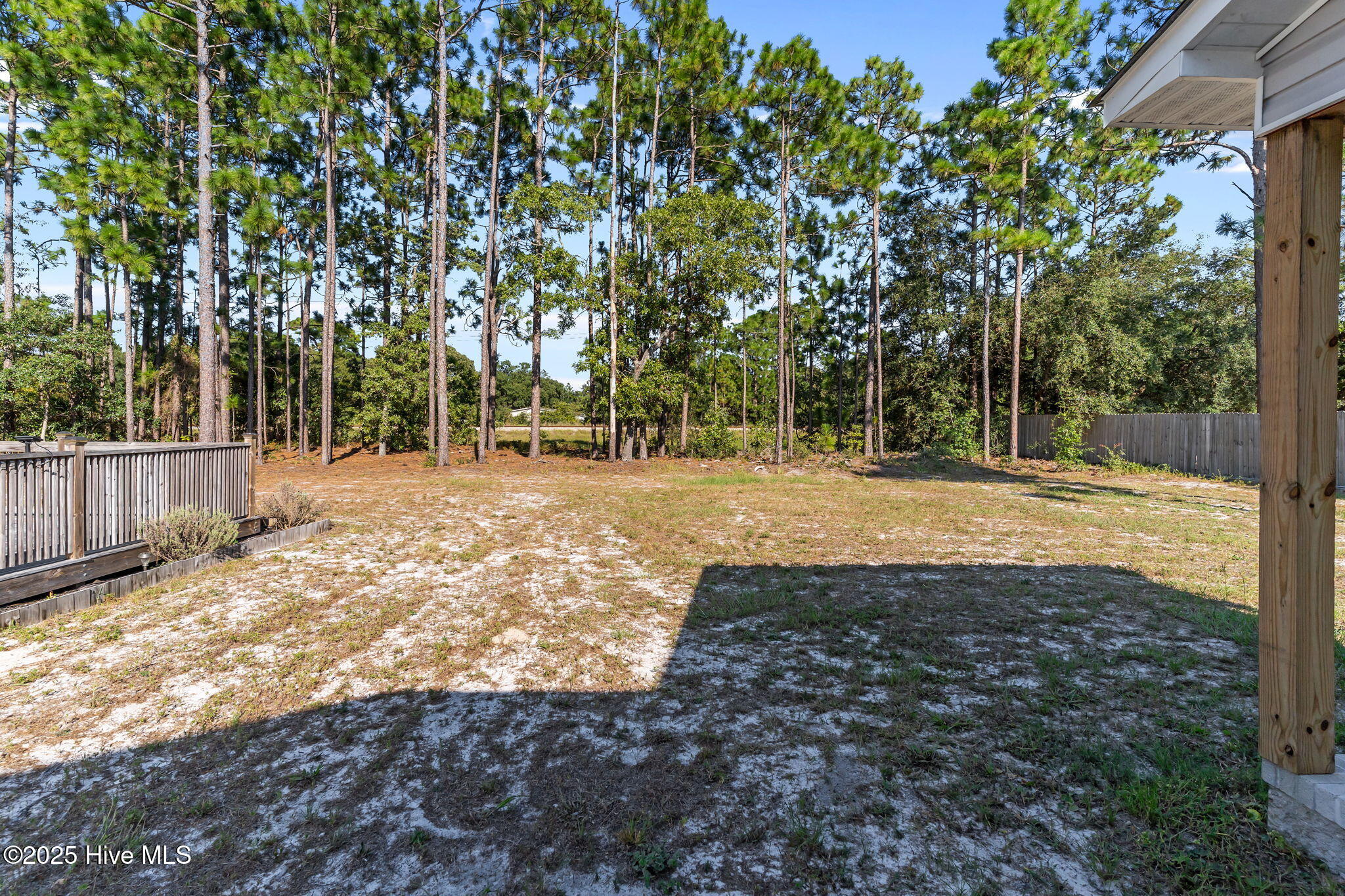 100530347 | Photo 56