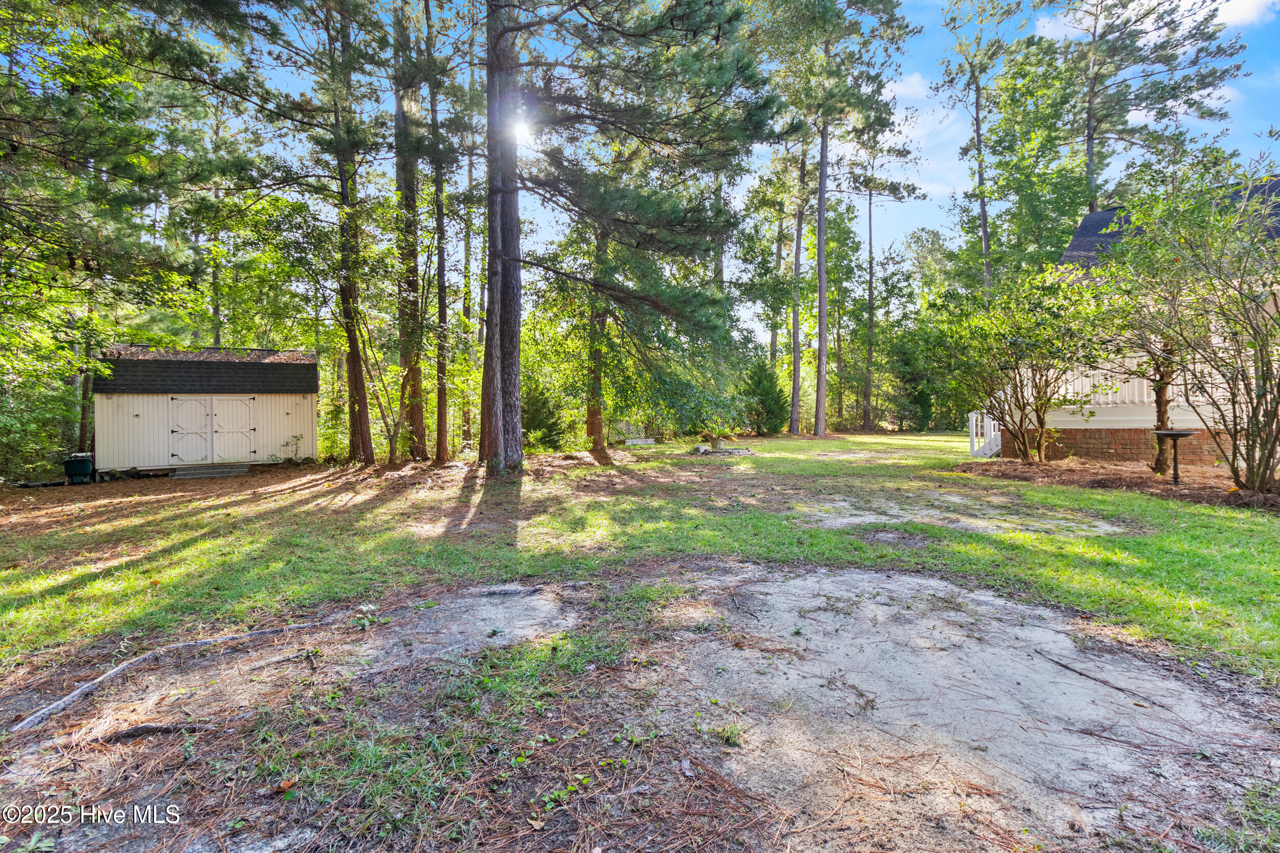 100534384 | Photo 46