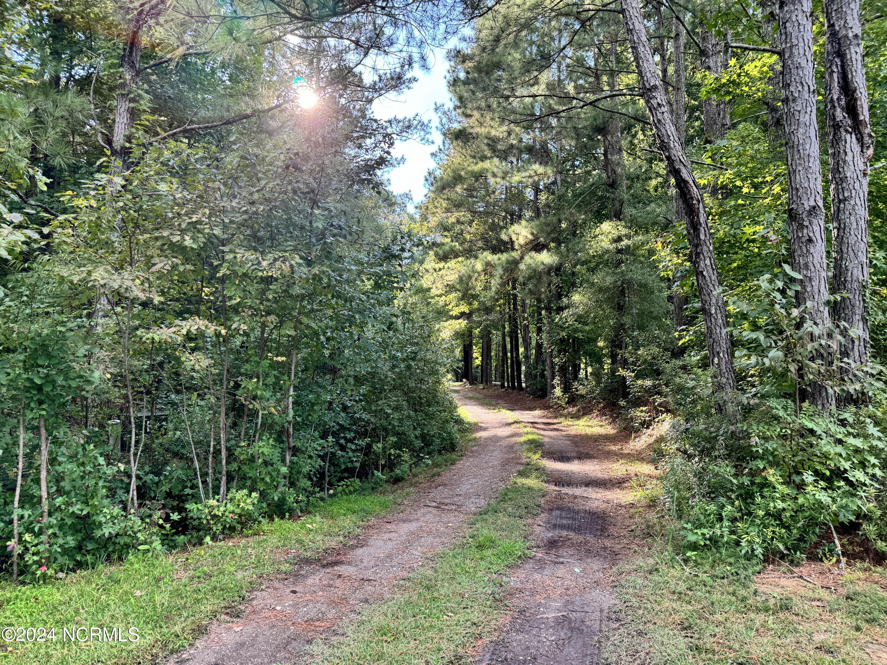 Homes for sale in Chocowinity, NC | 81 Beans Bnd, Chocowinity, NC 27817 | MLS# 100554471