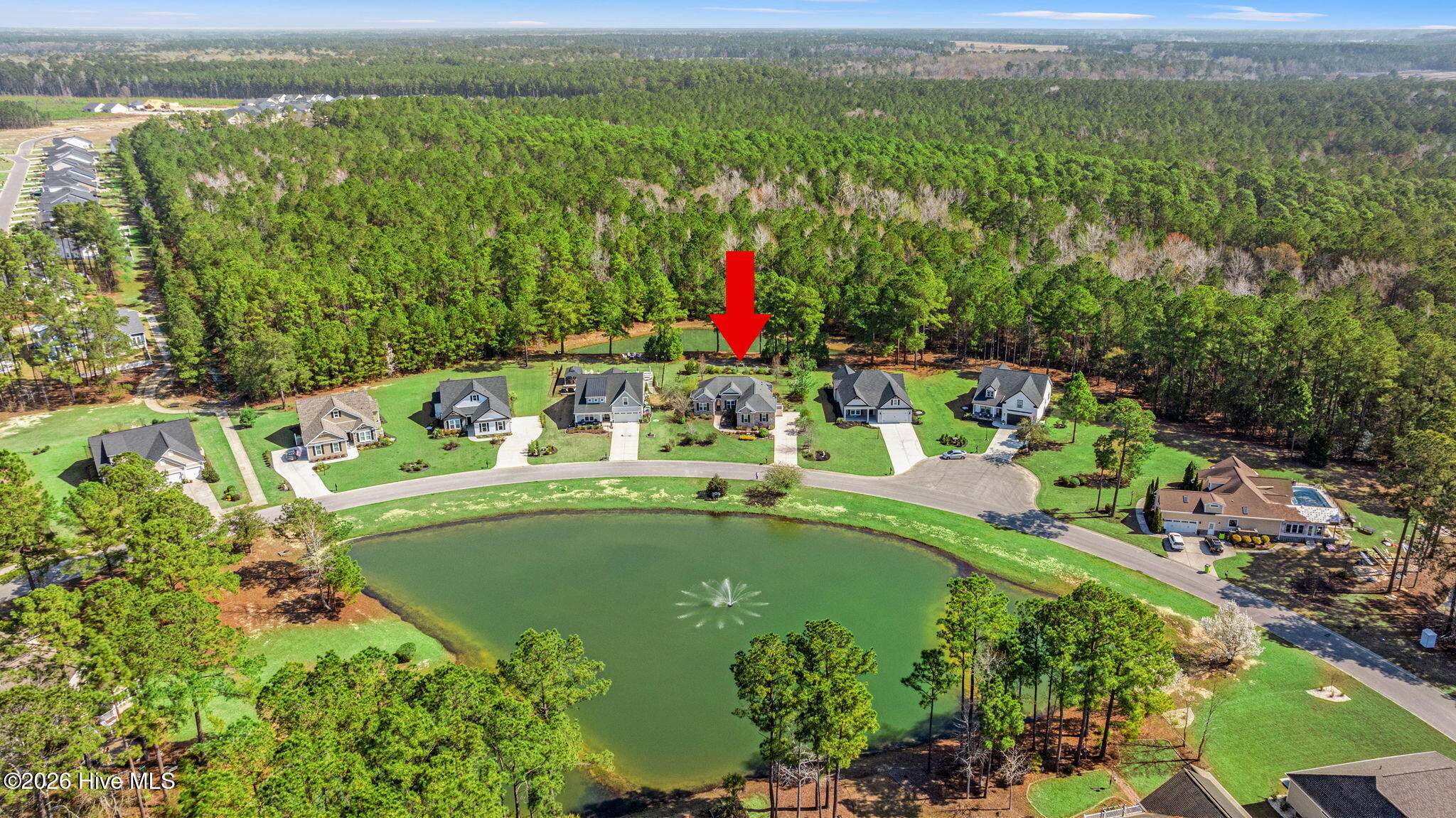 100560327 | Photo 35