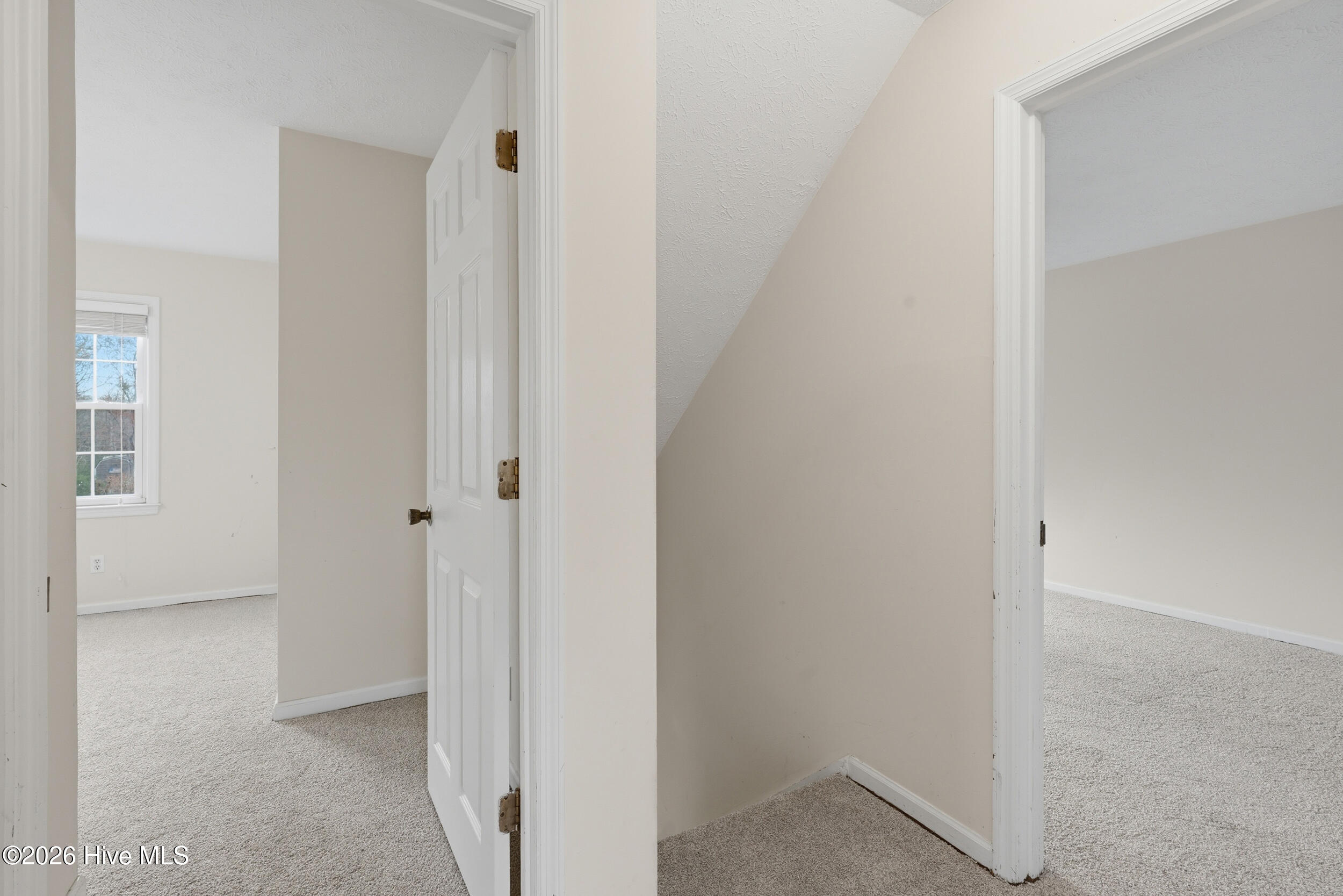 100559462 | Photo 23