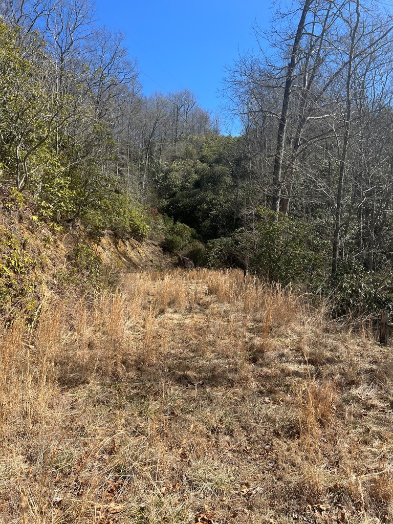 Homes for sale in Nantahala, NC | Lot 19 Preserve Valley Rd, Nantahala, NC 28781 | MLS# 98525030