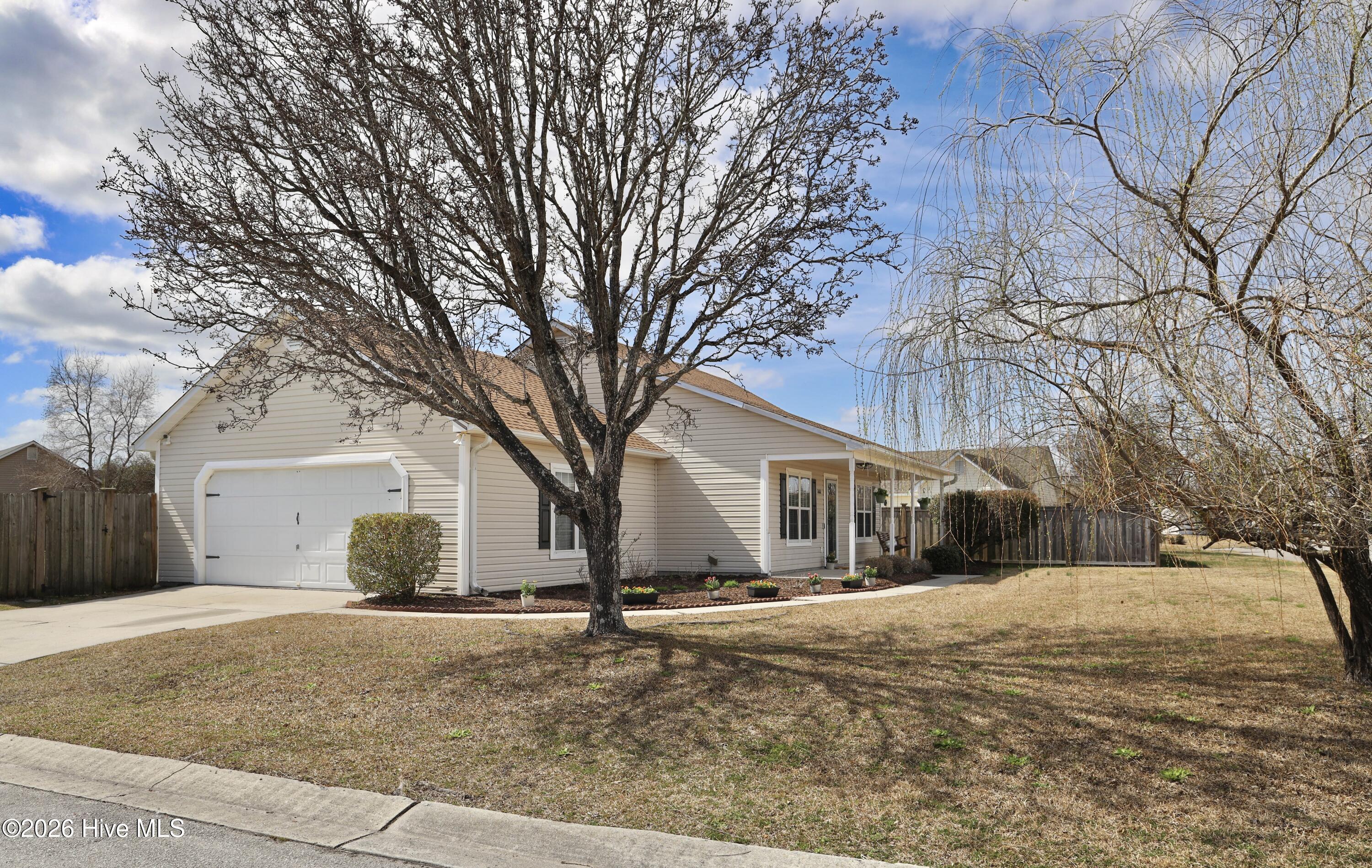 100558599 | Photo 48